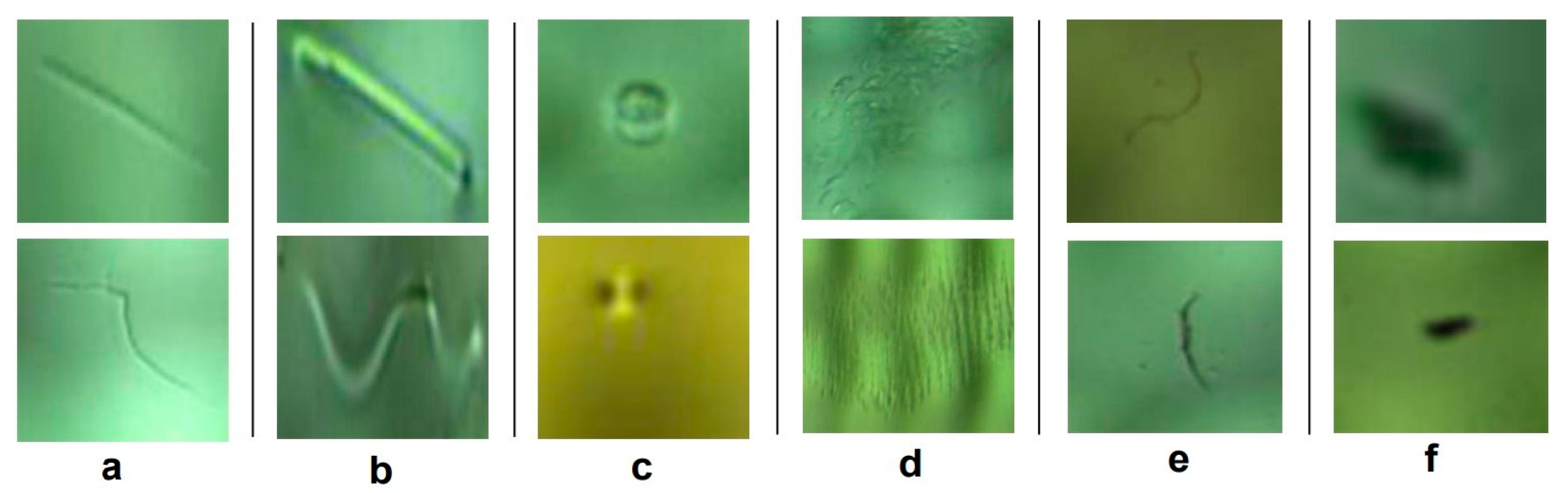 Axioms 12 00386 g011