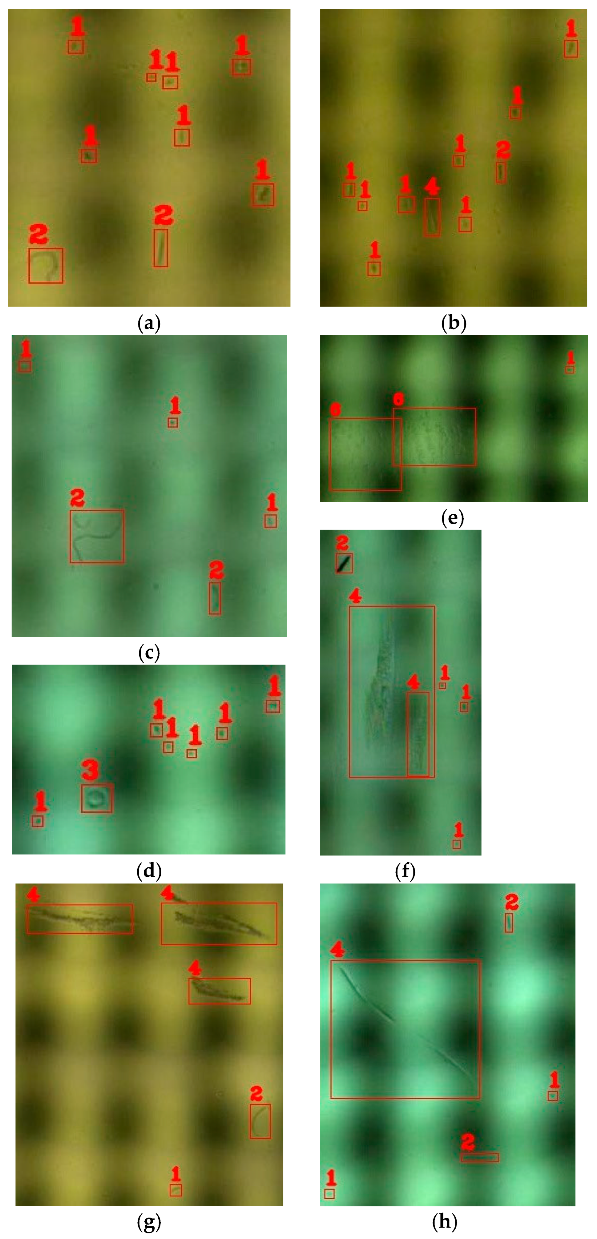 Axioms 12 00386 g019