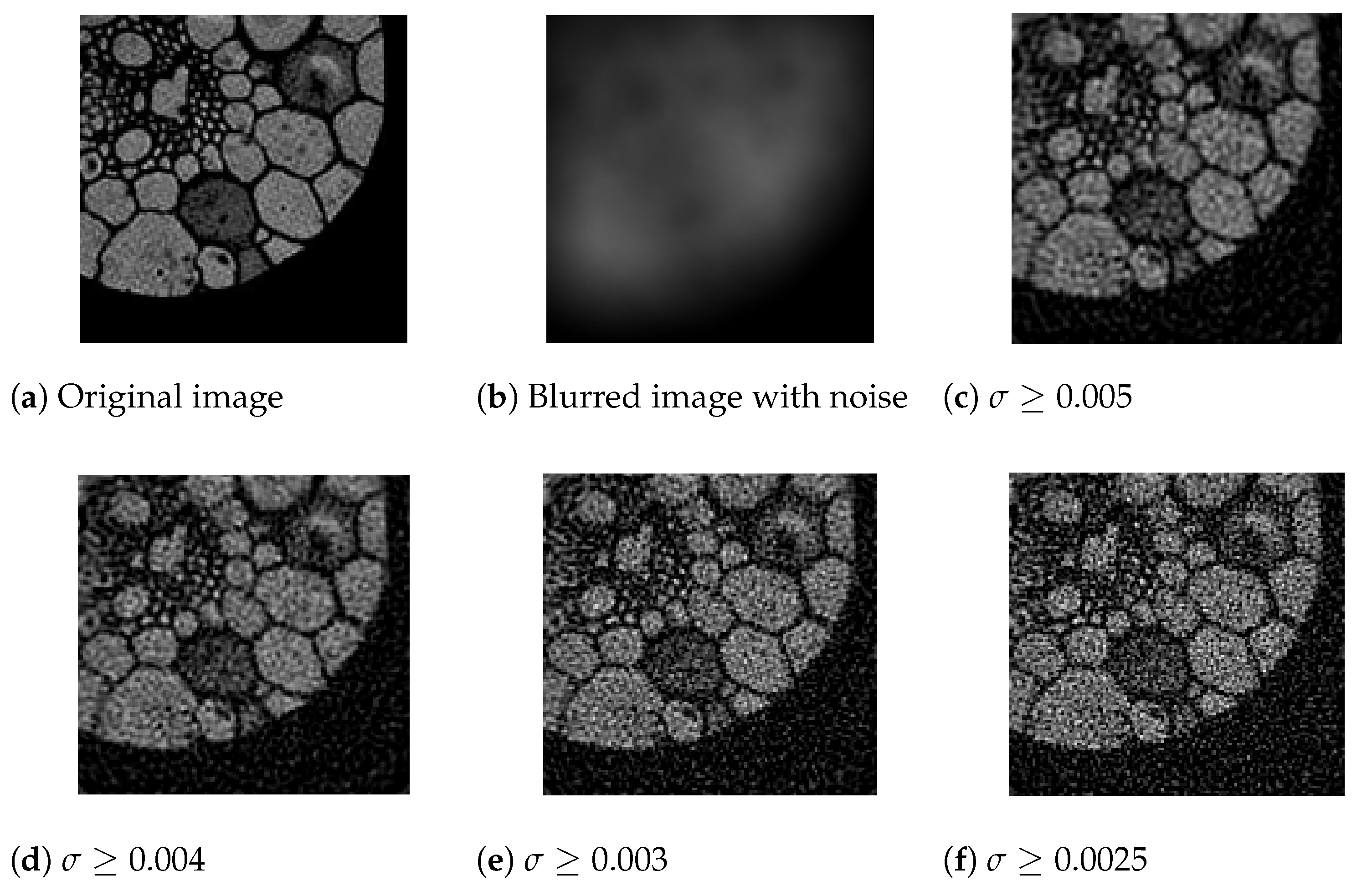 Axioms 12 00485 g002 Axioms 12 00485 g002