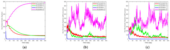 Dynamic Analysis of a Stochastic Delayed SEIRS Epidemic