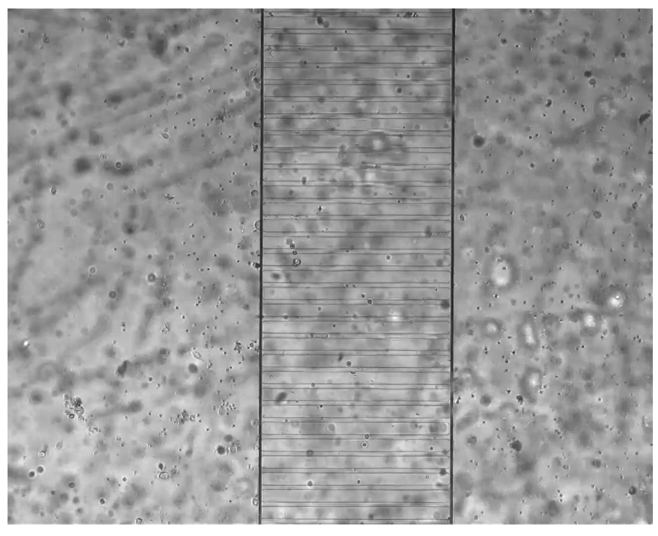 Axioms 12 00930 g001