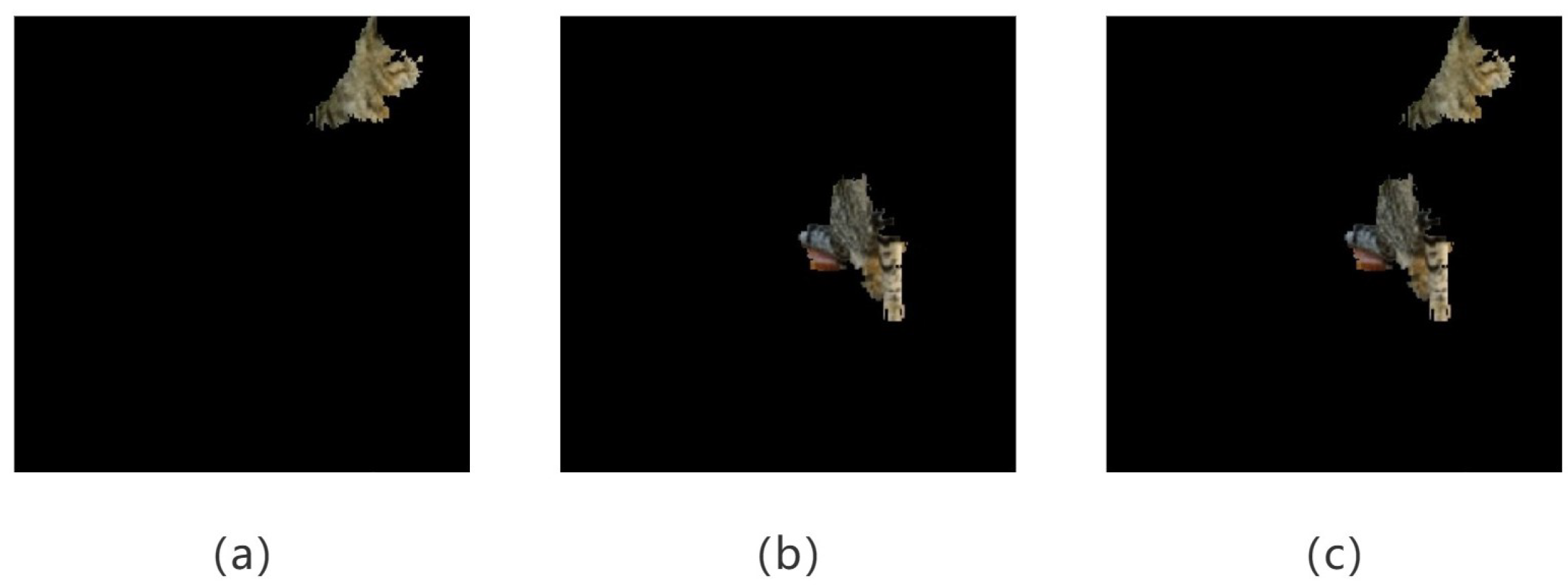 Axioms 12 00997 g004