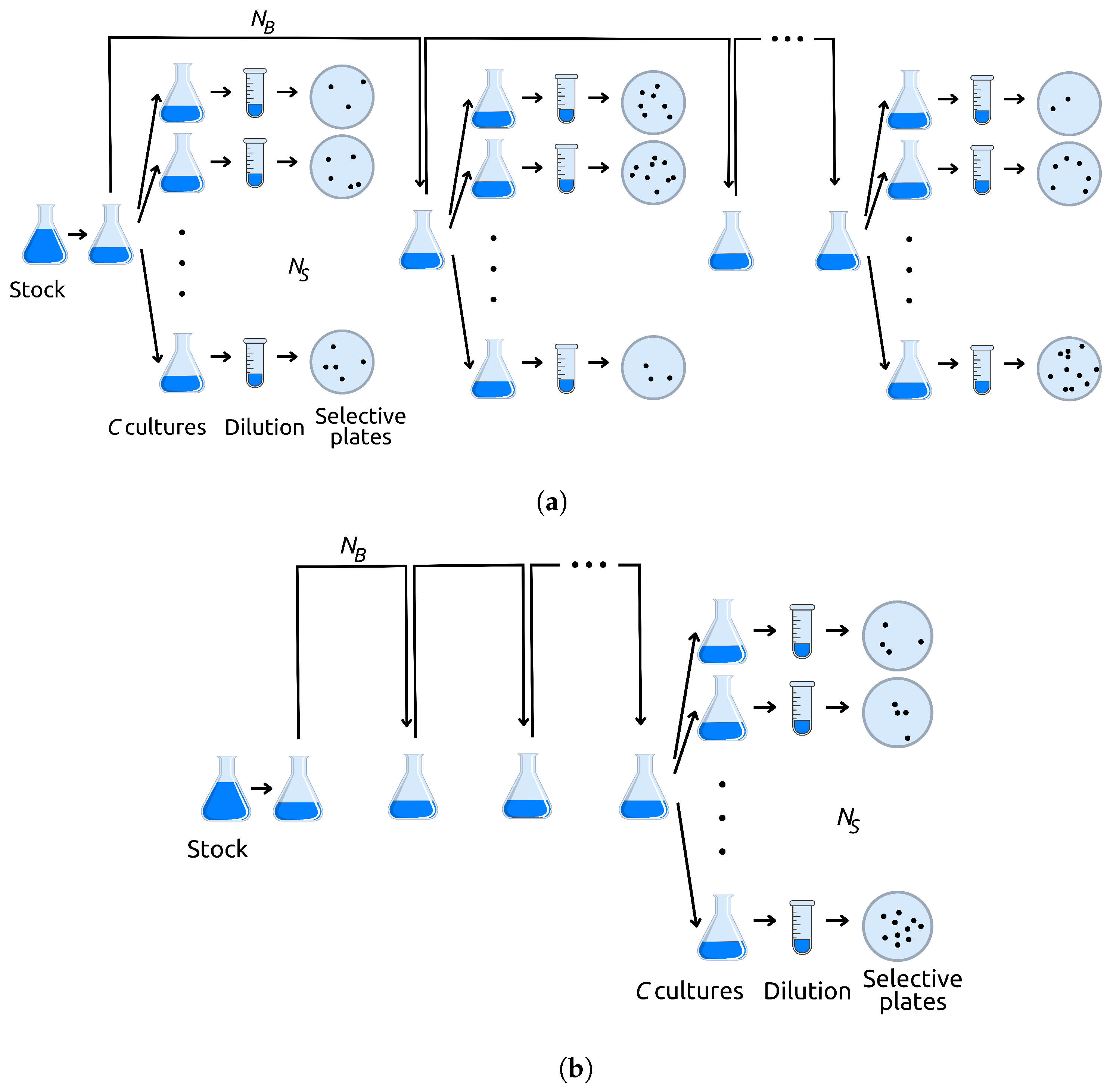 Axioms 13 00117 g001