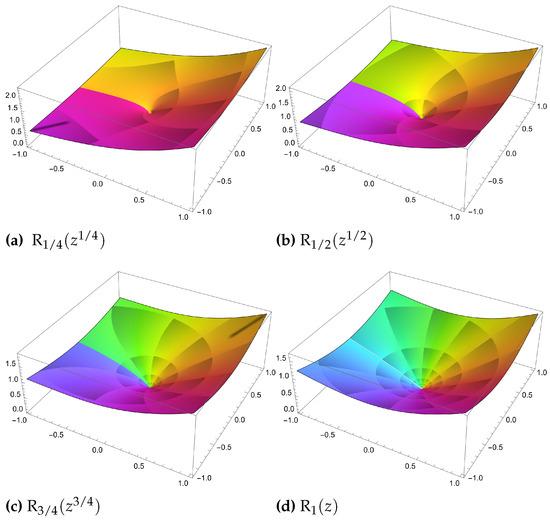お手軽価格で贈りやすい Analysis of Fractal Complex a of Structure Normalized a ネイルチップ・付け爪