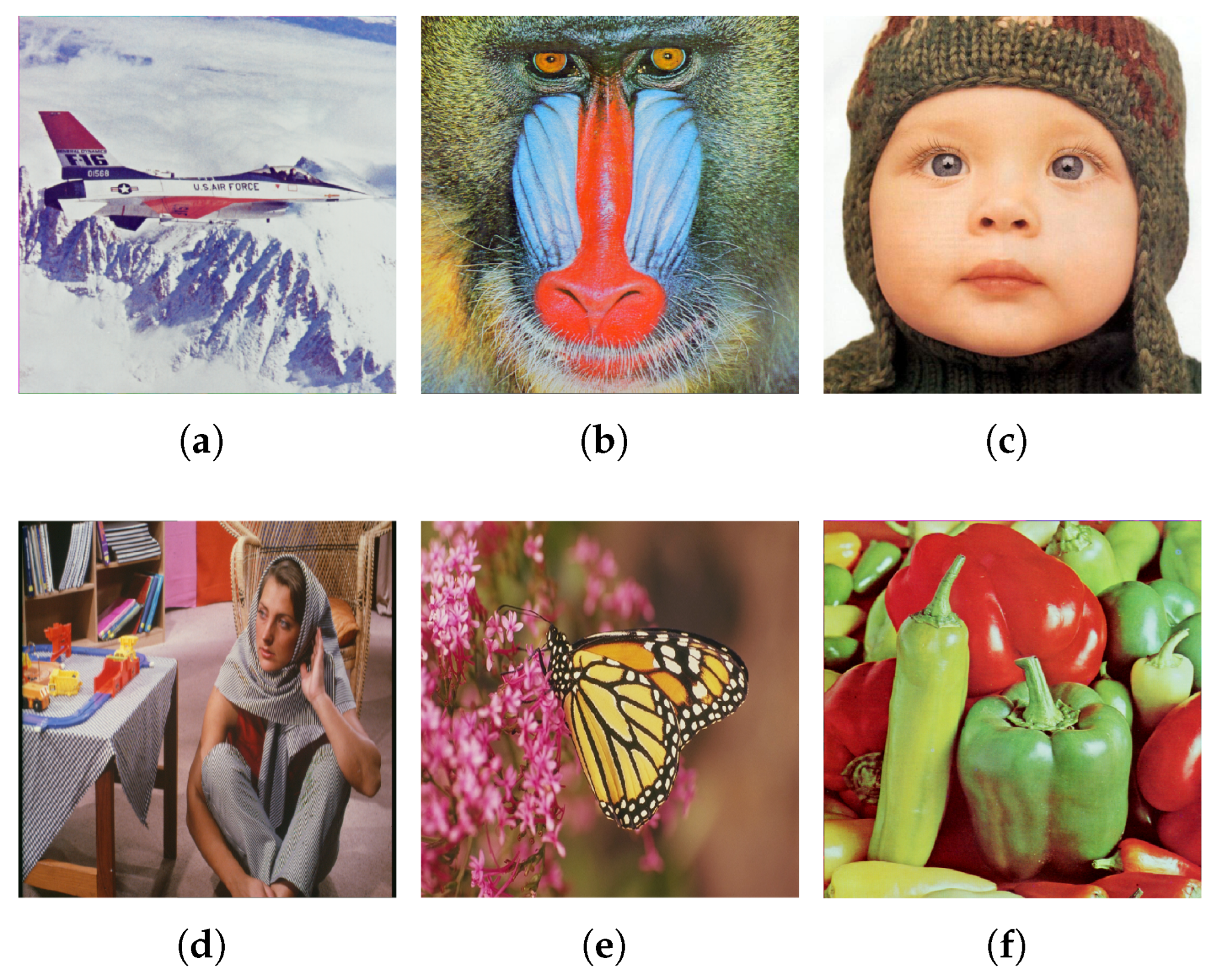 Axioms 13 00771 g015