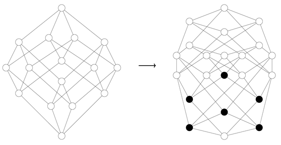 Axioms 14 00207 i005