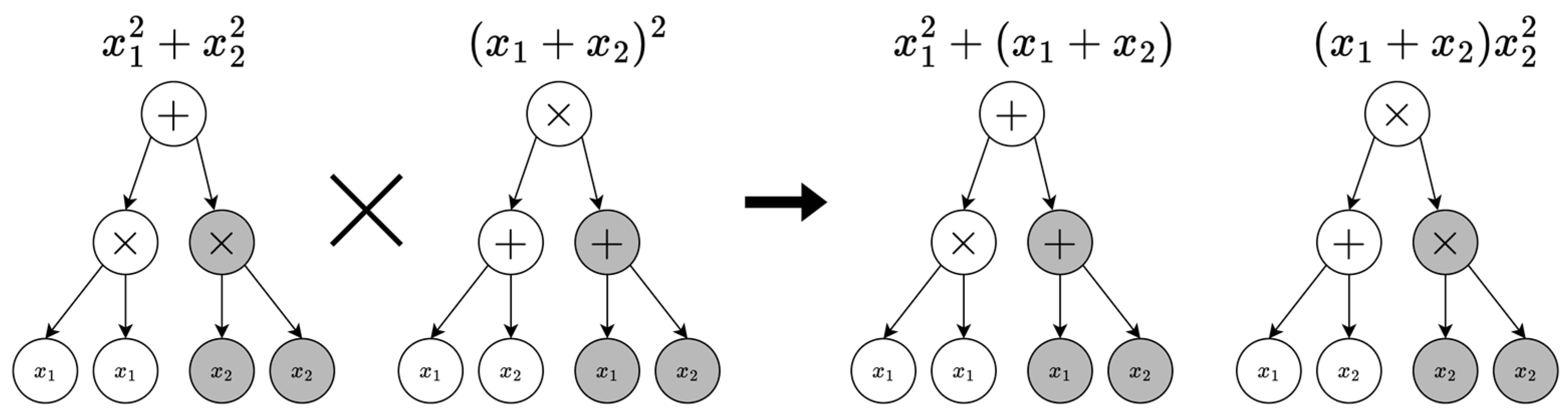 Axioms 14 00343 g001