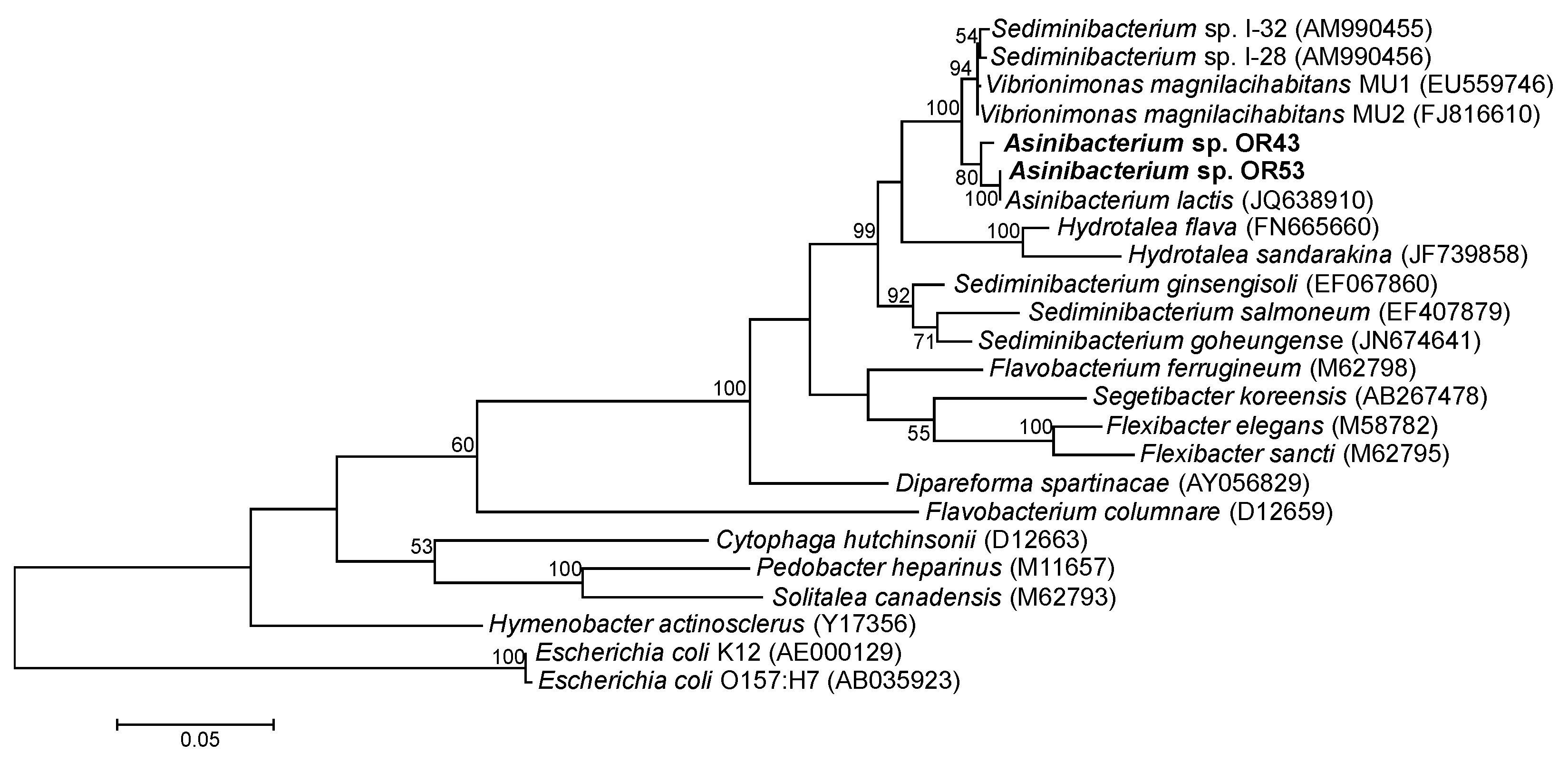 Bacteria 01 00004 g001