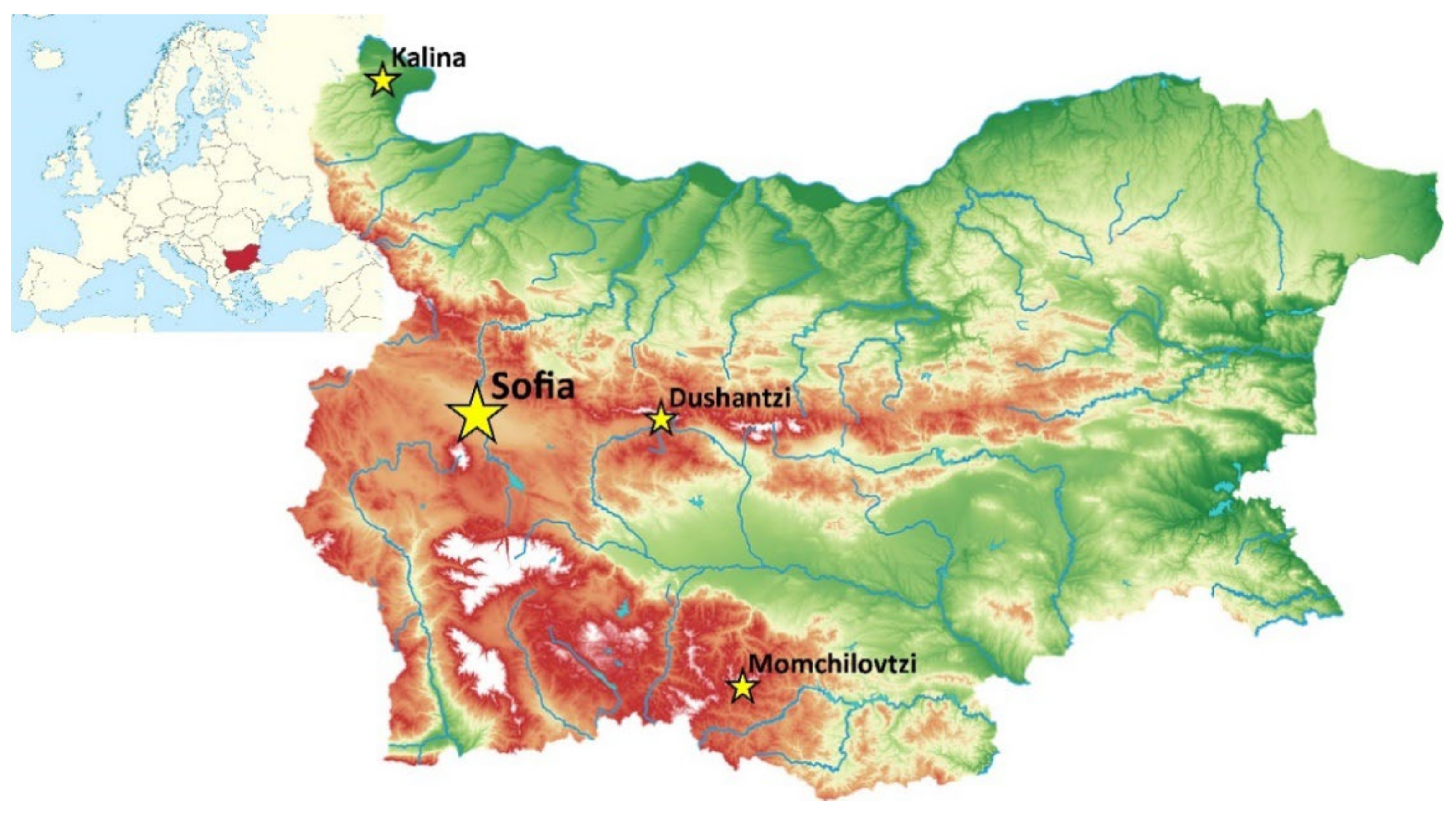 Bacteria 01 00008 g002