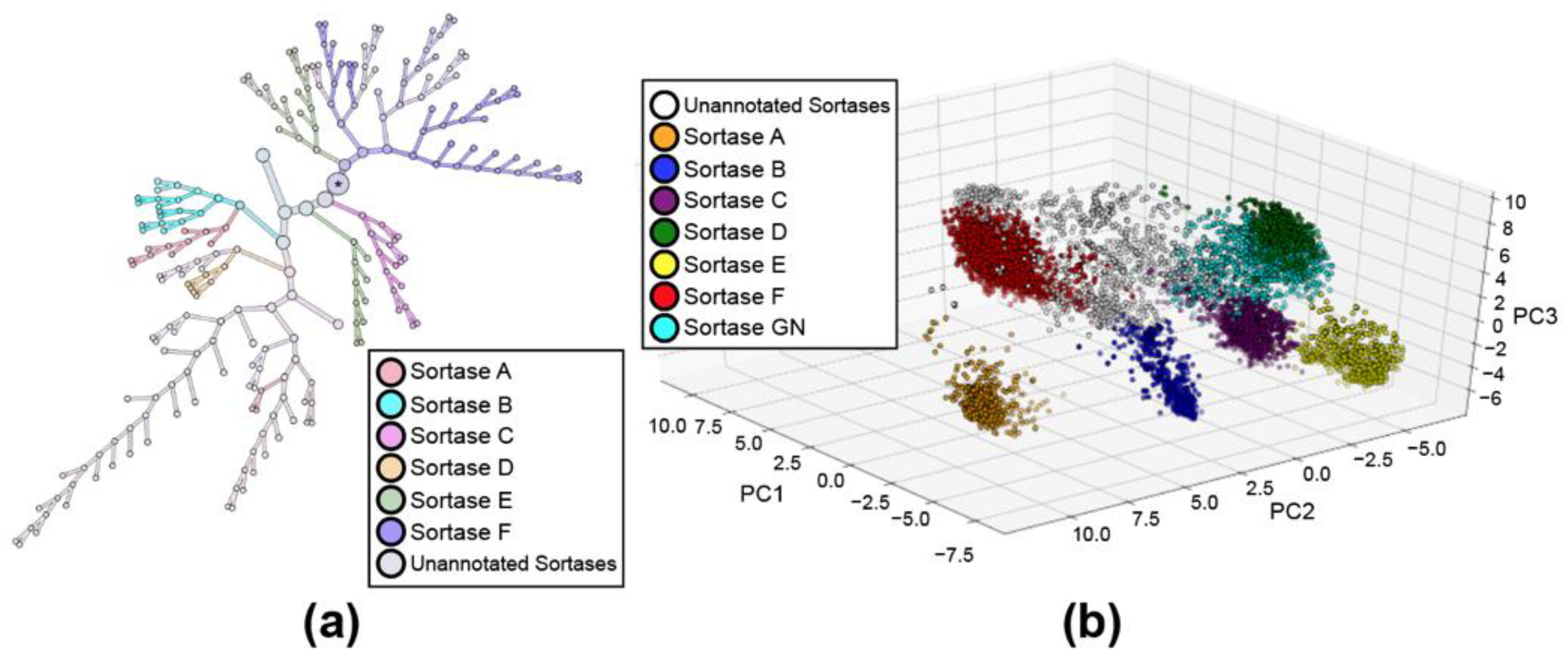 Bacteria 01 00011 g001a