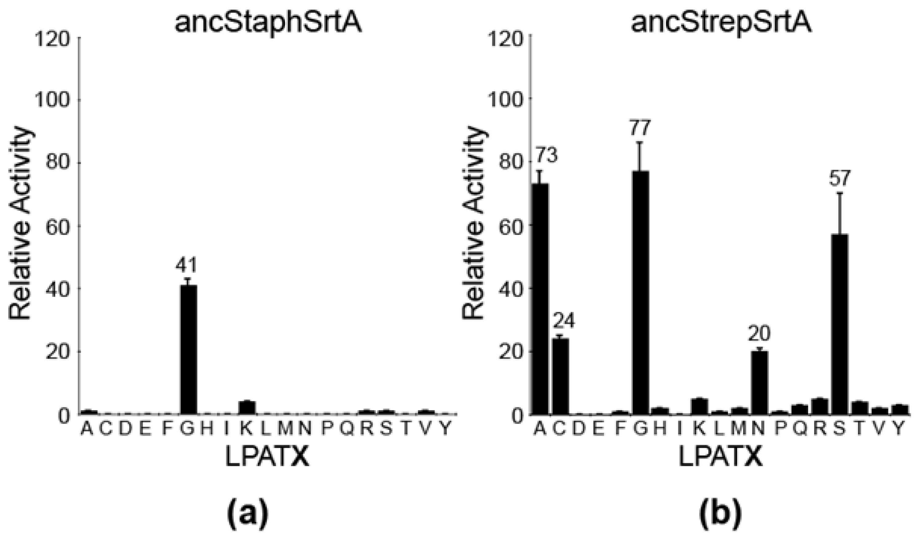 Bacteria 01 00011 g004