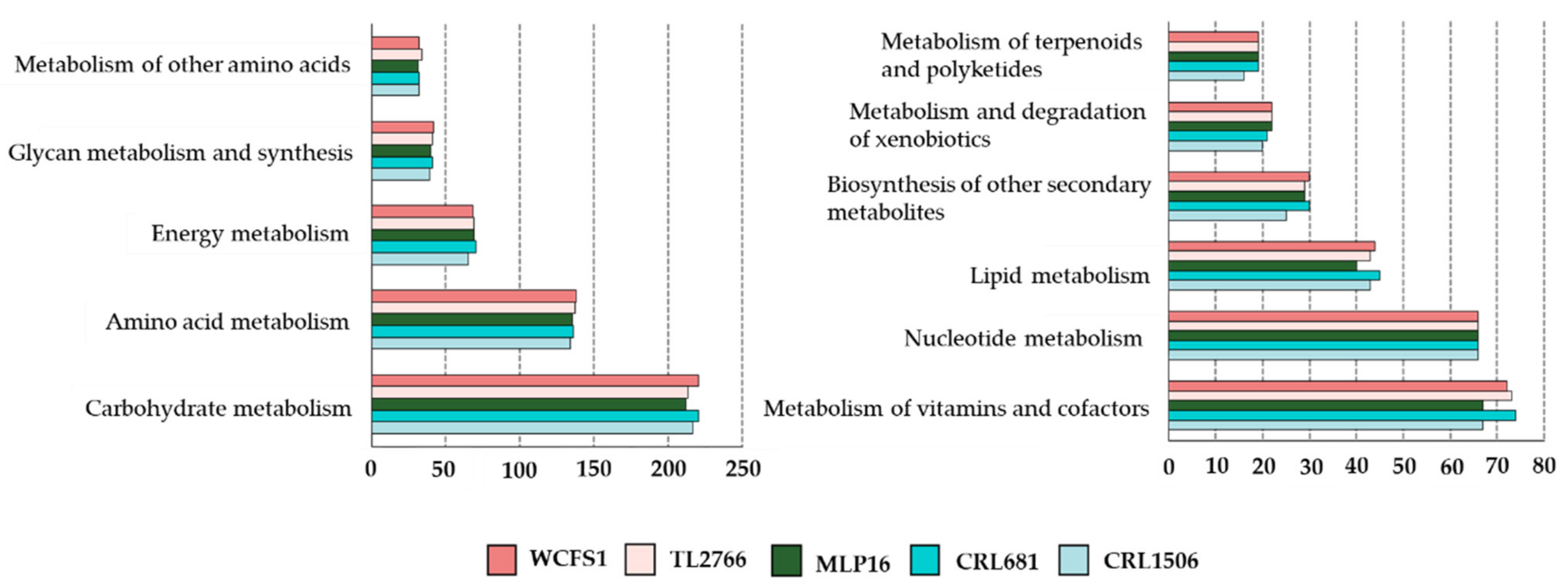 Bacteria 01 00012 g001