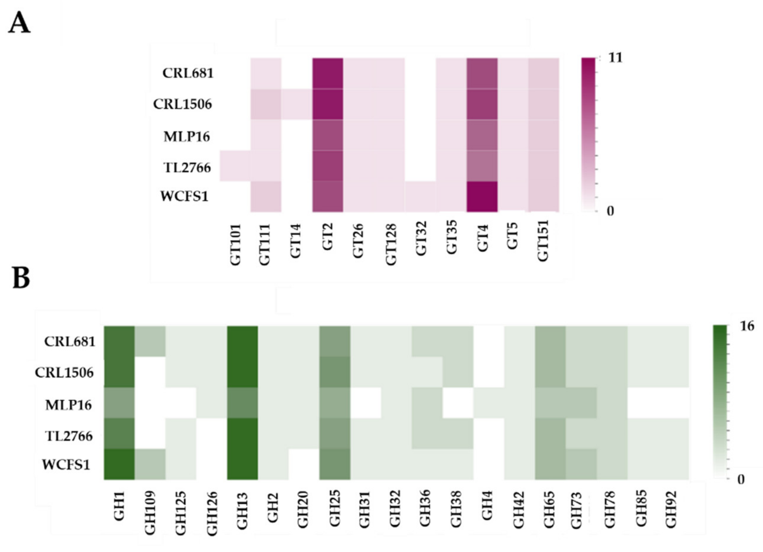 Bacteria 01 00012 g004
