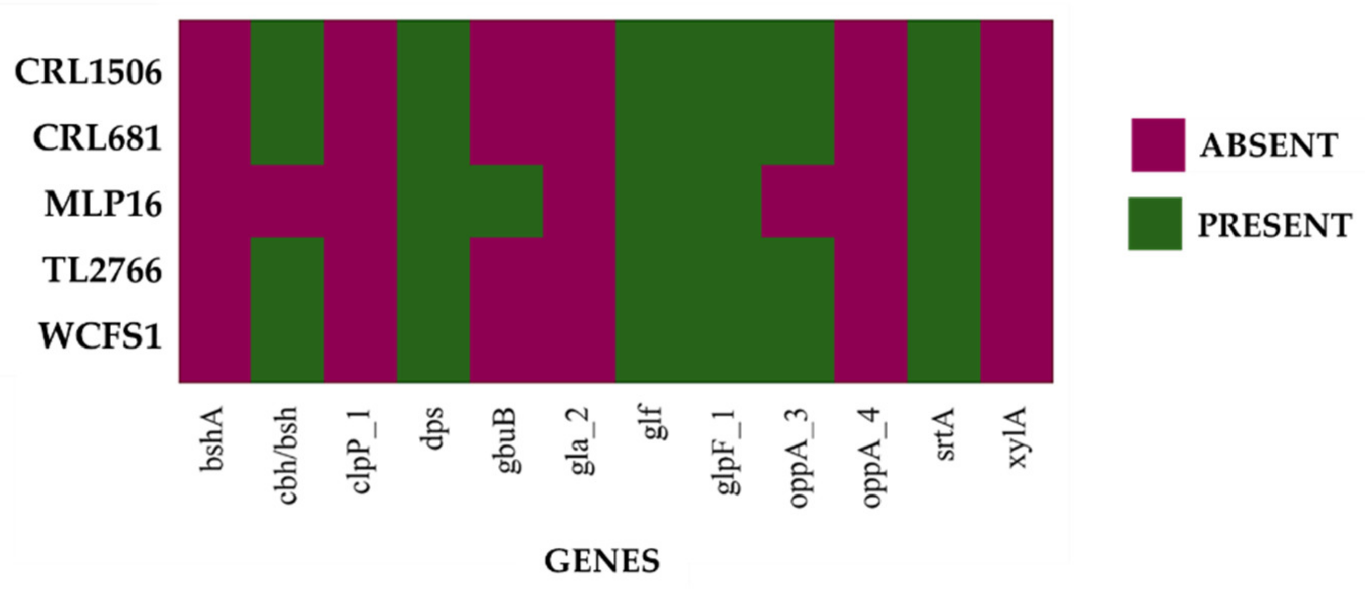 Bacteria 01 00012 g006