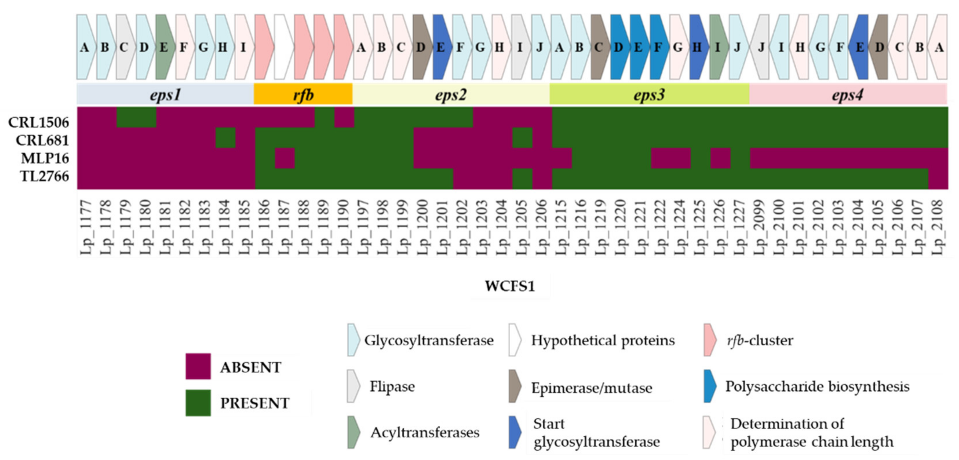 Bacteria 01 00012 g007