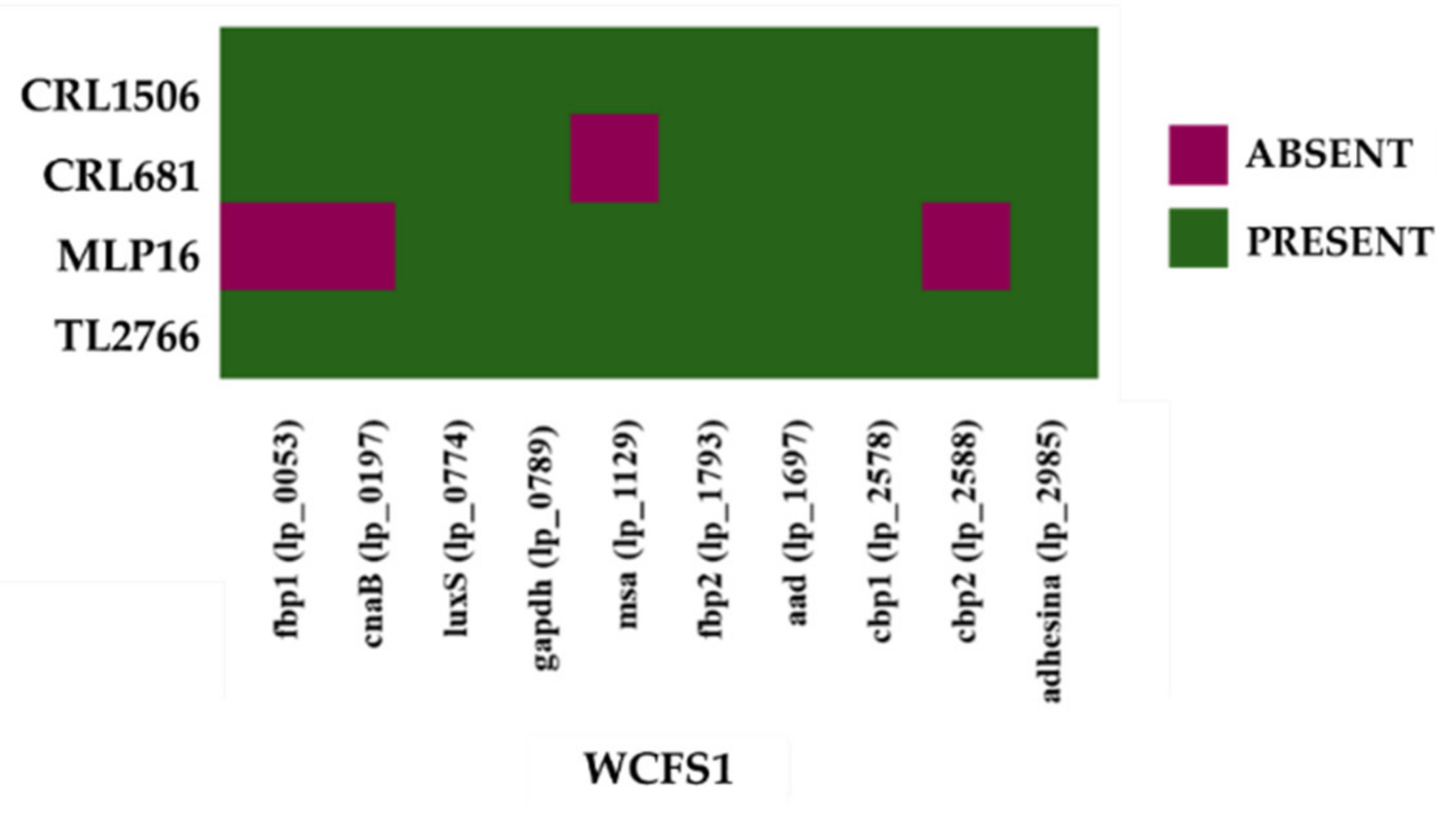 Bacteria 01 00012 g011