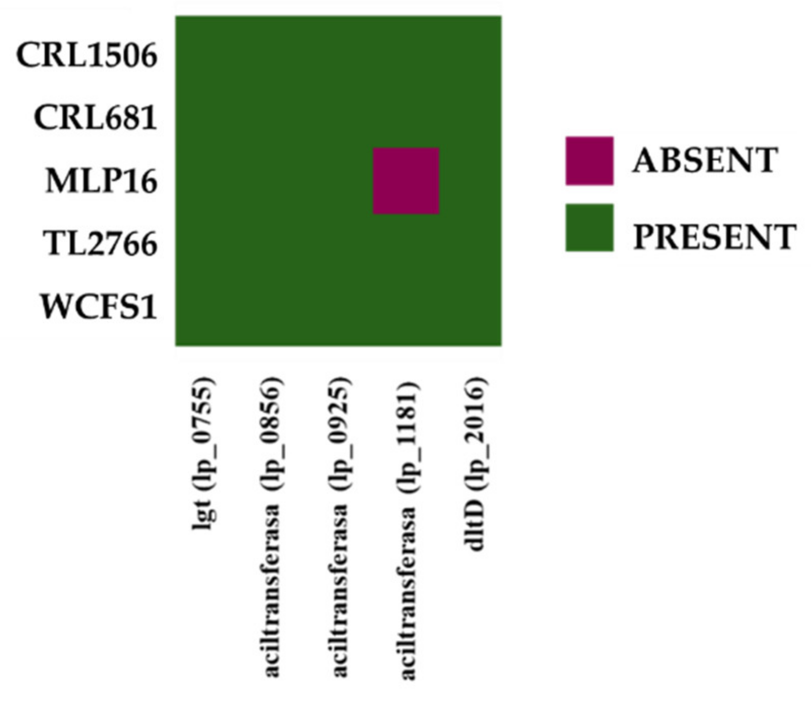 Bacteria 01 00012 g012