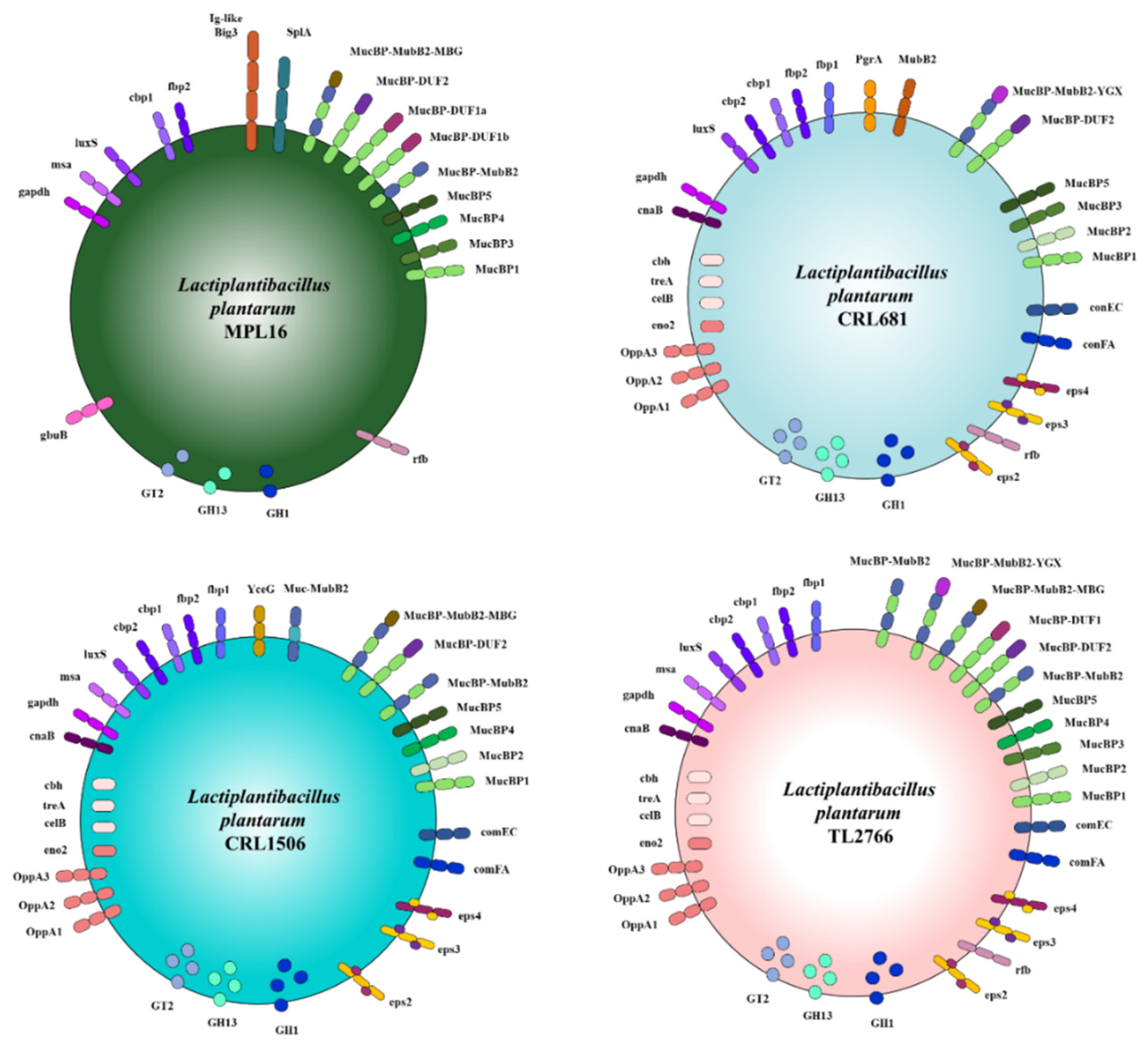 Bacteria 01 00012 g013