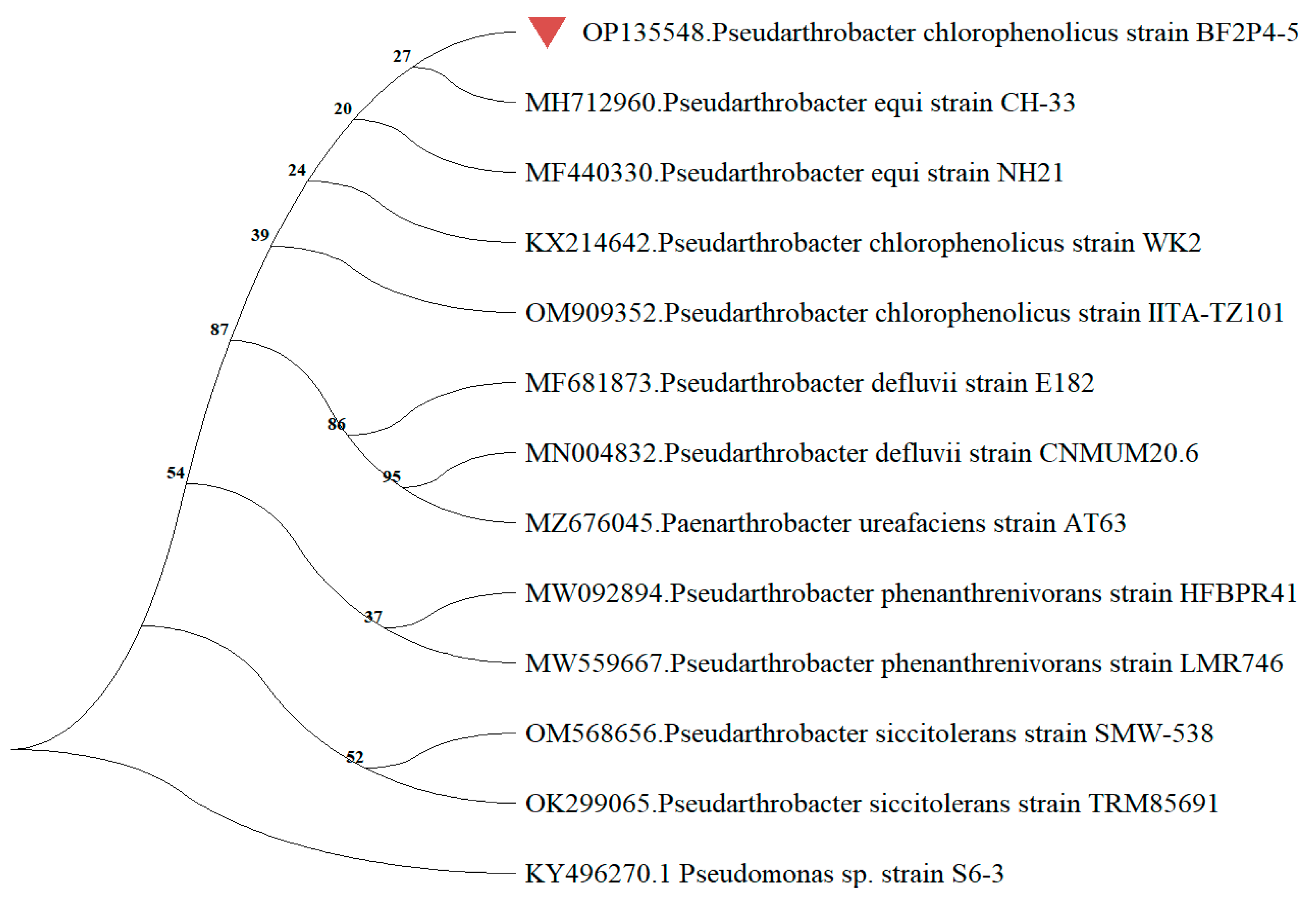 Bacteria 01 00015 g002 Bacteria 01 00015 g002