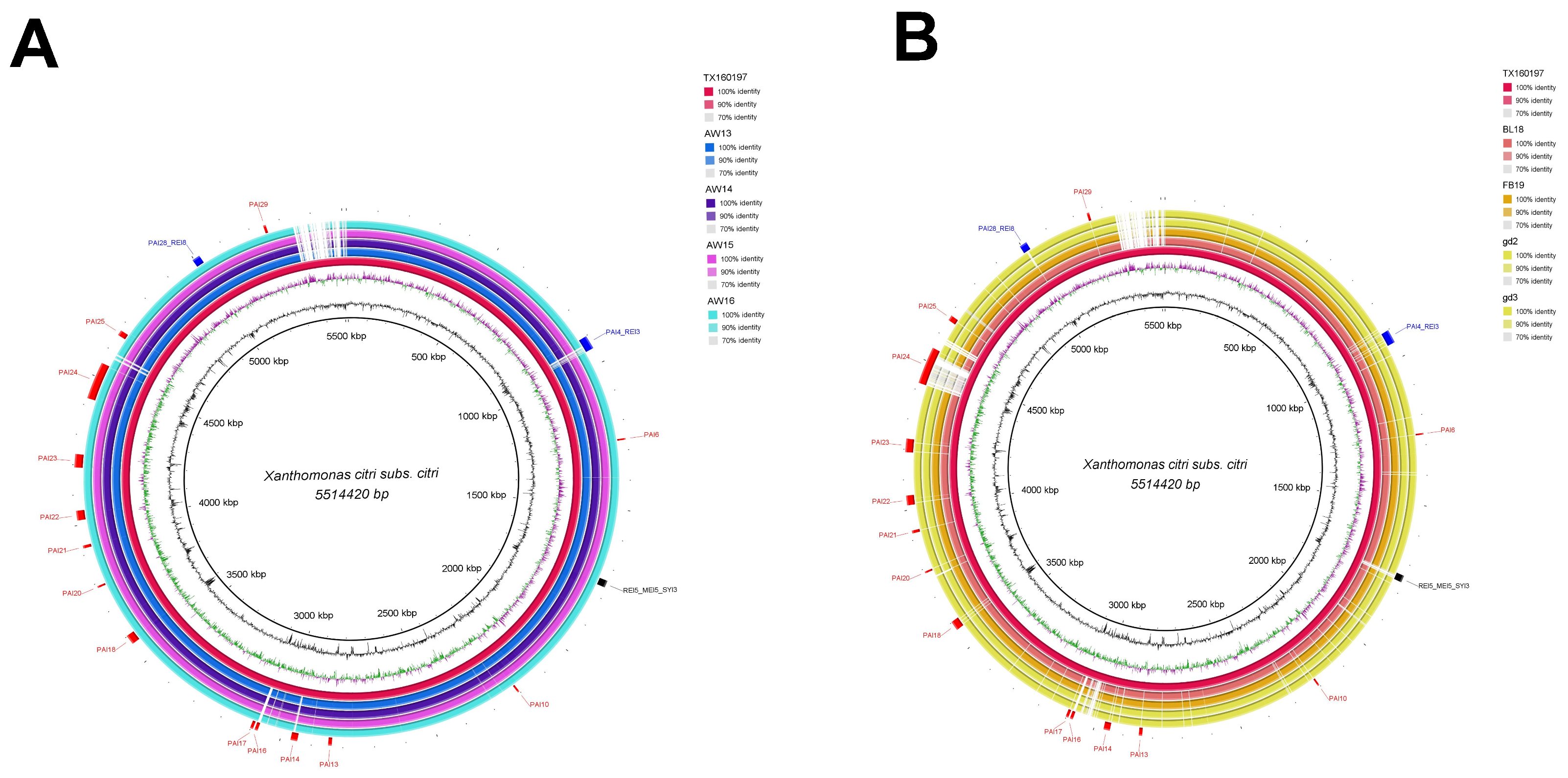 Bacteria 01 00017 g003