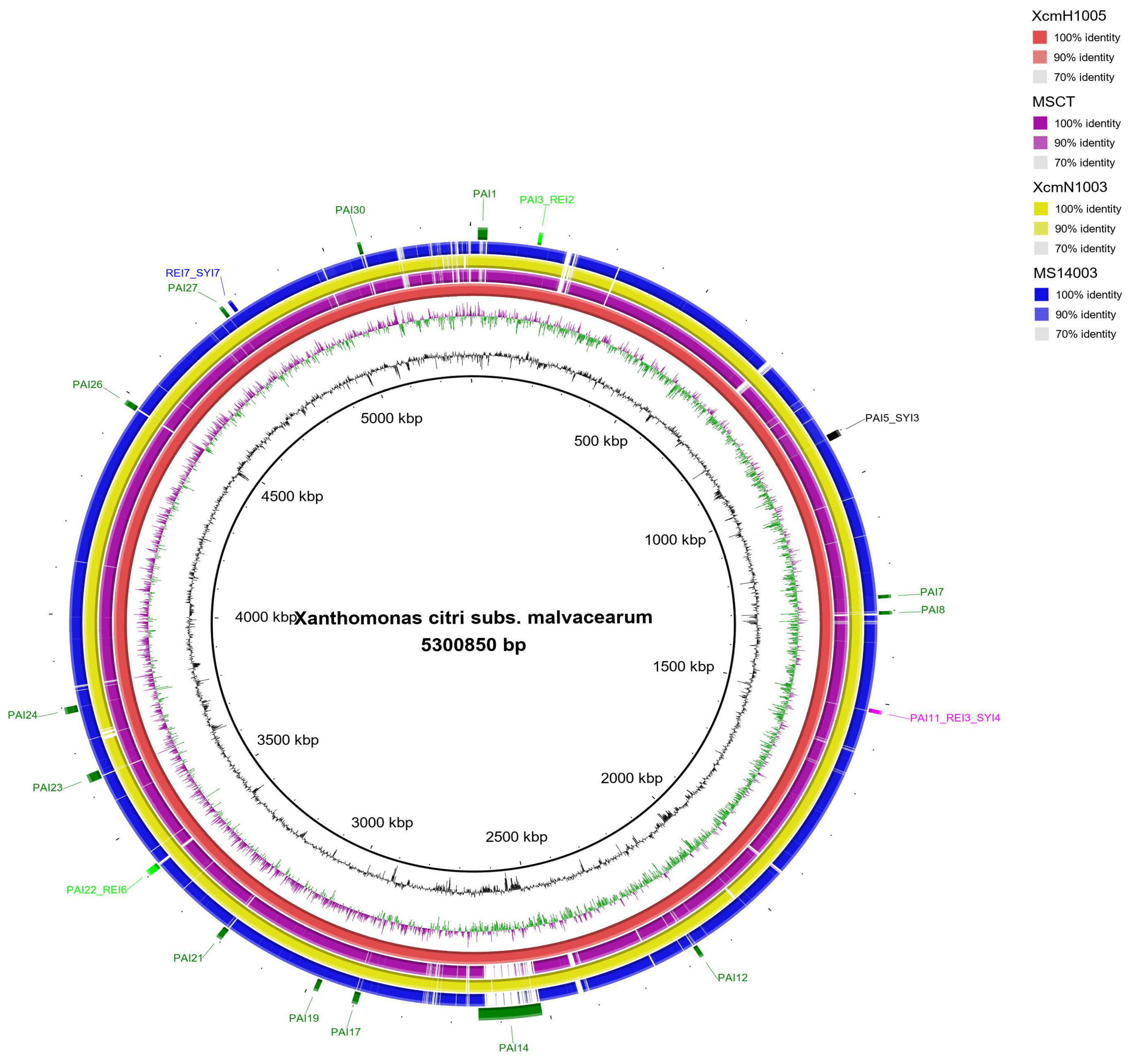 Bacteria 01 00017 g005