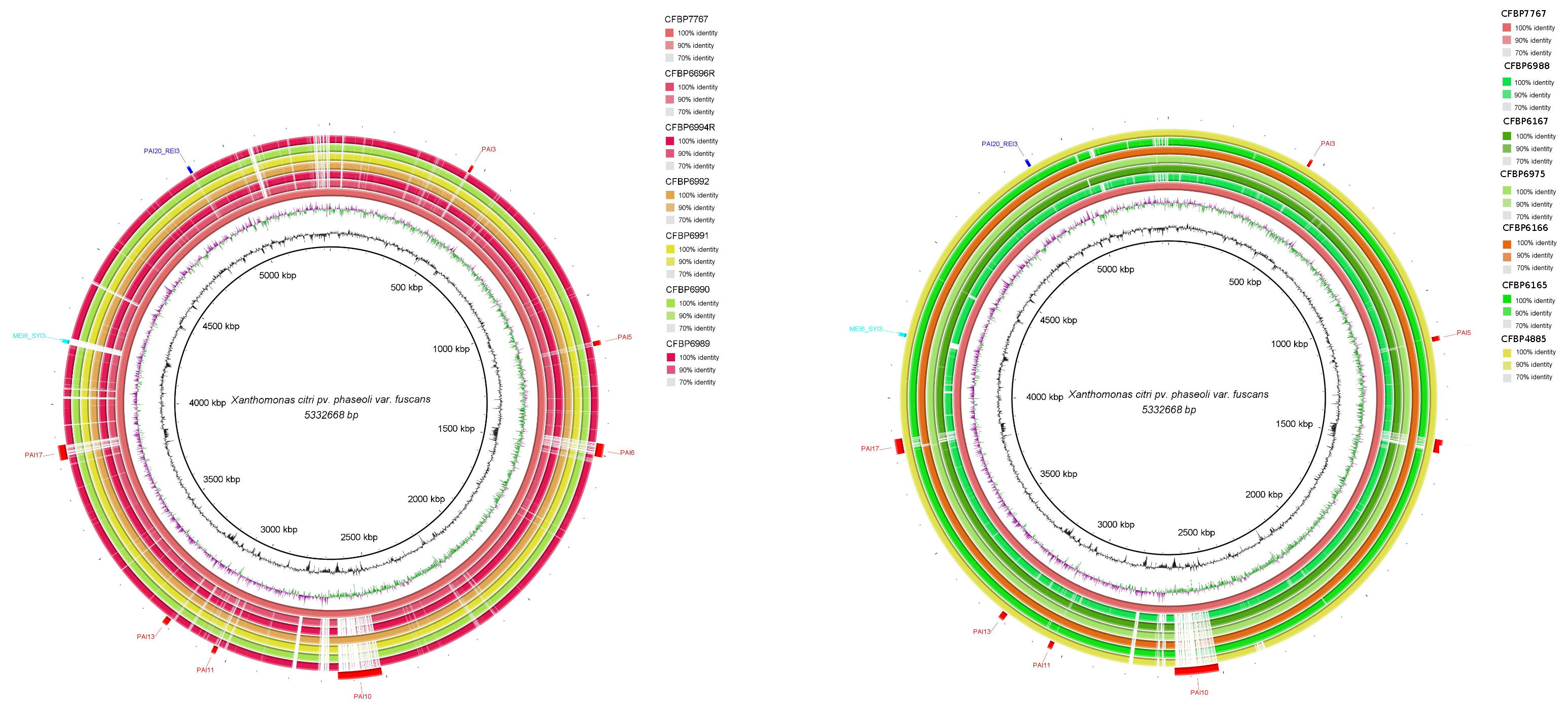 Bacteria 01 00017 g006