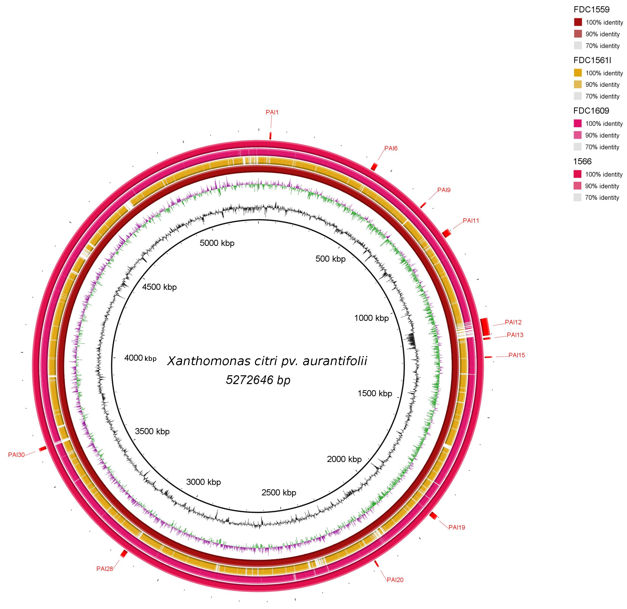 Bacteria 01 00017 g007