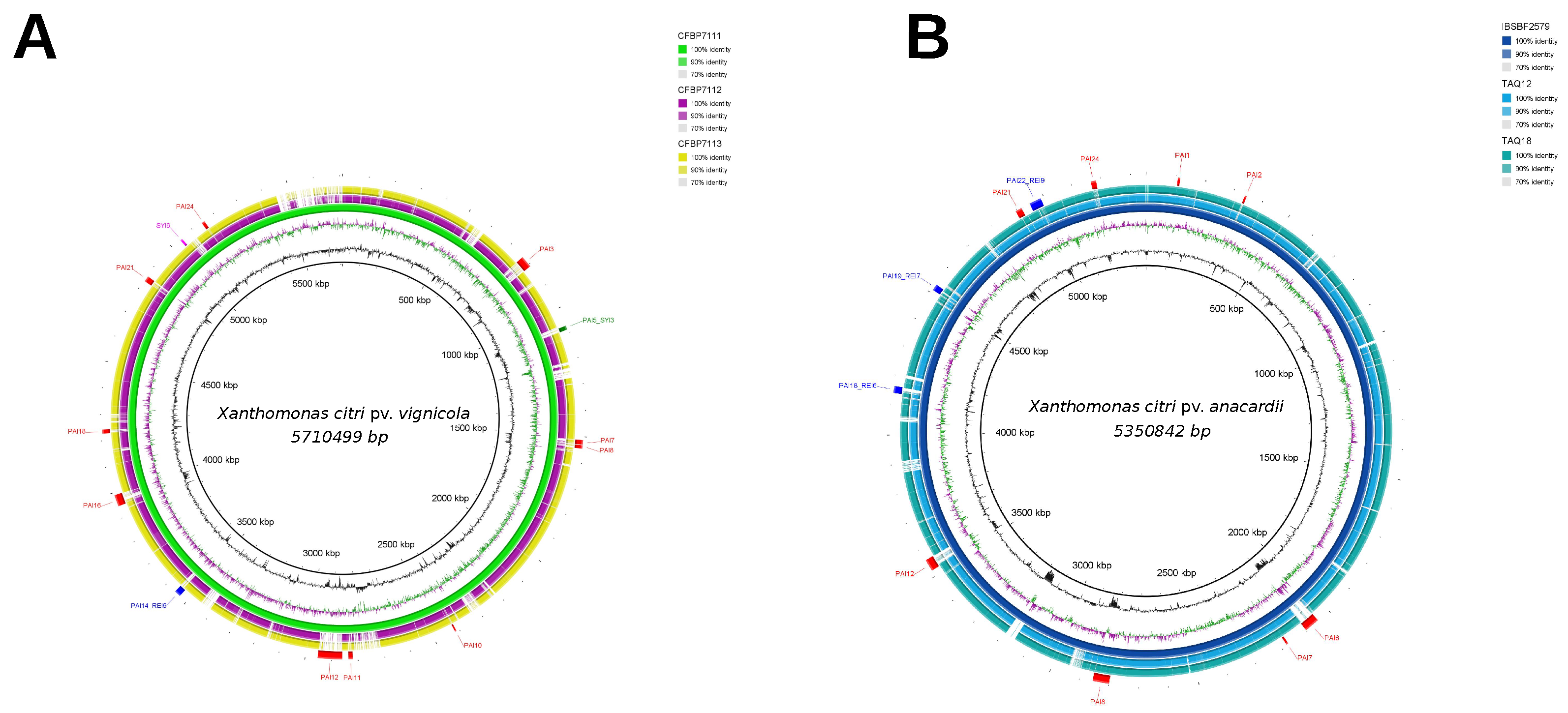 Bacteria 01 00017 g008