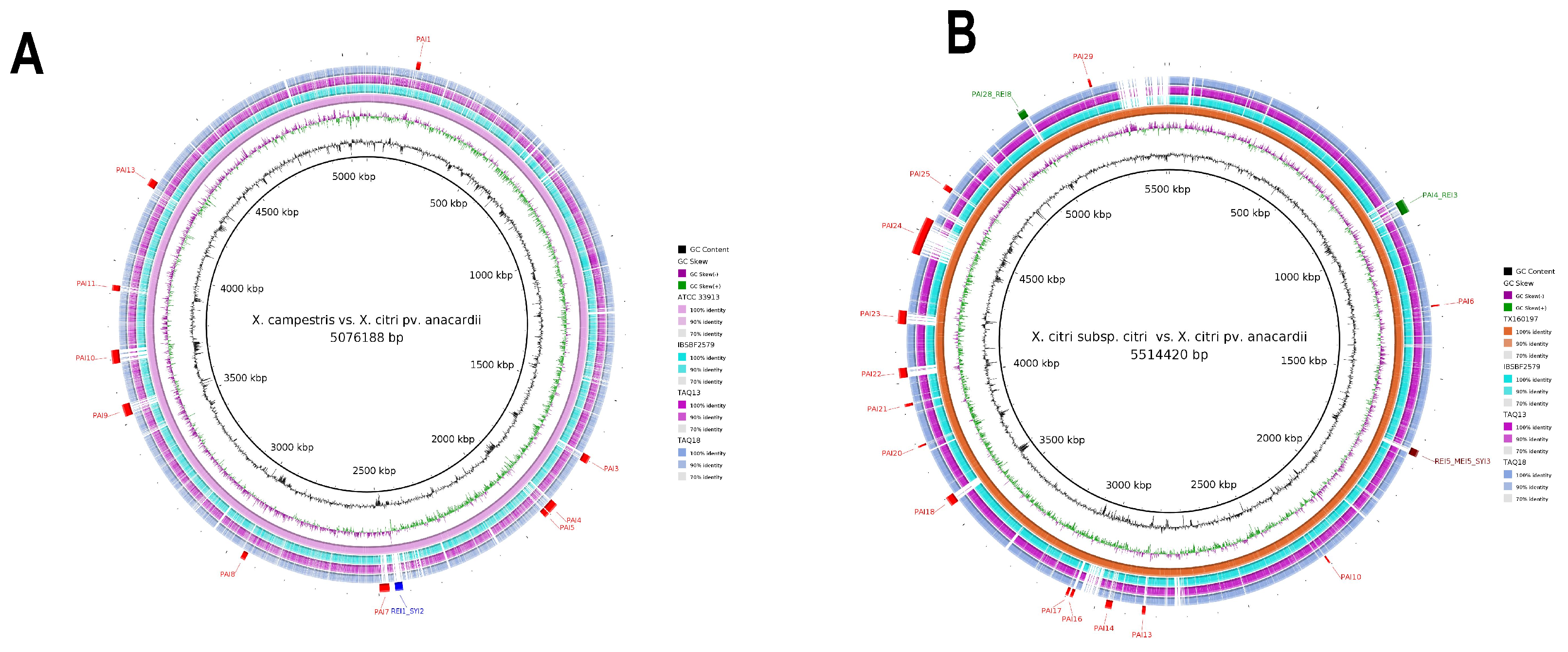 Bacteria 01 00017 g010