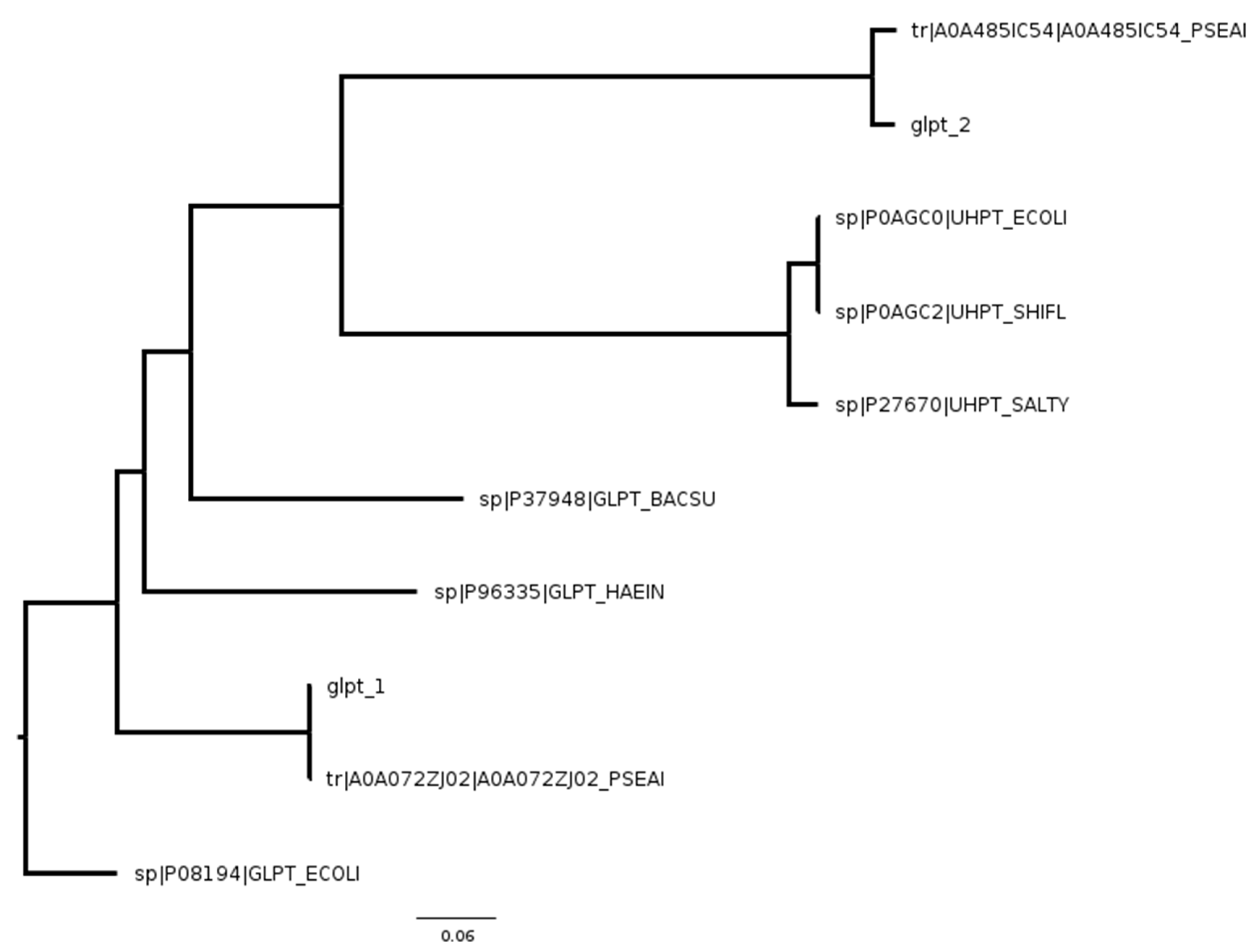 Bacteria 01 00020 g002 Bacteria 01 00020 g002