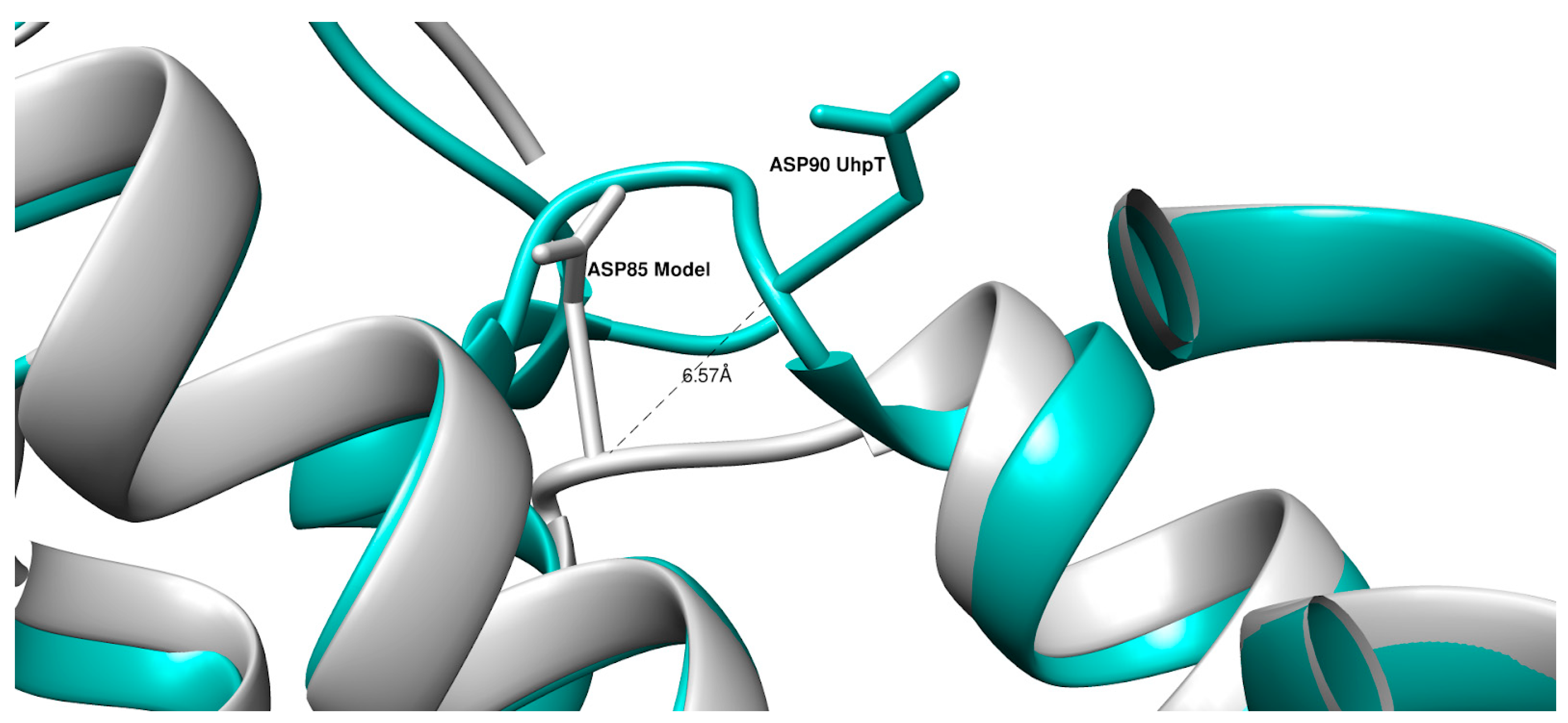 Bacteria 01 00020 g006 Bacteria 01 00020 g006