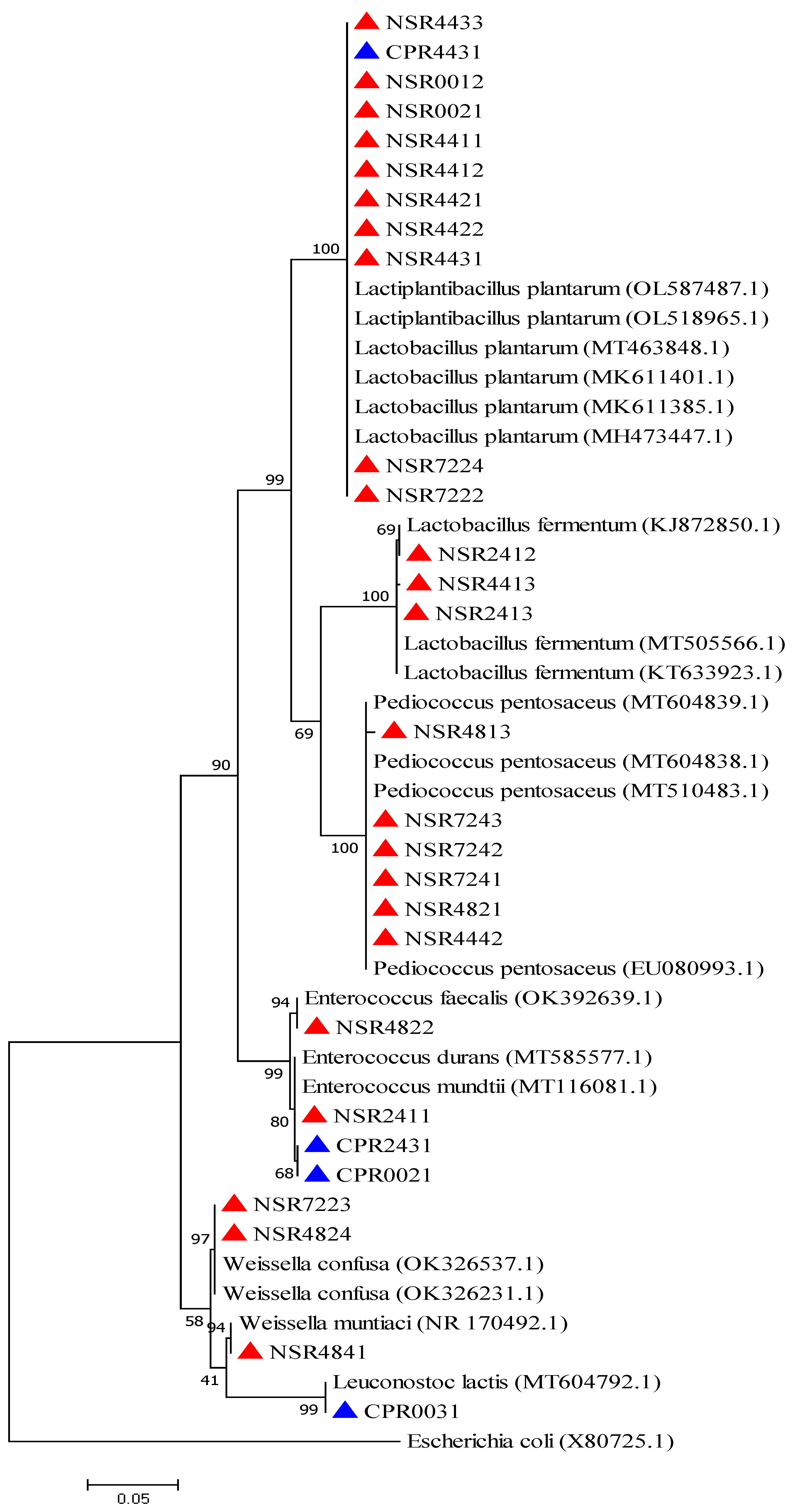 Bacteria 02 00001 g007