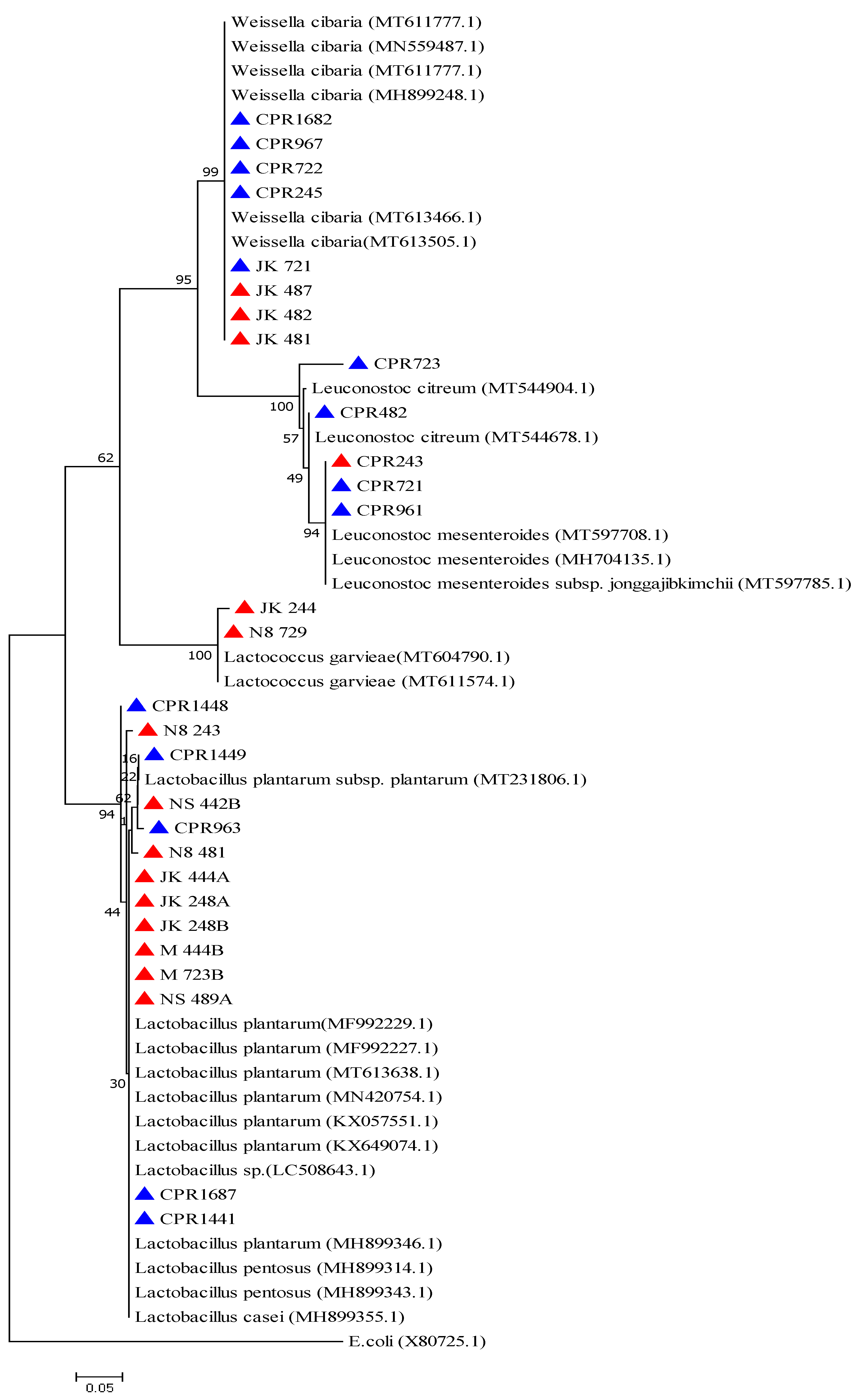 Bacteria 02 00001 g008