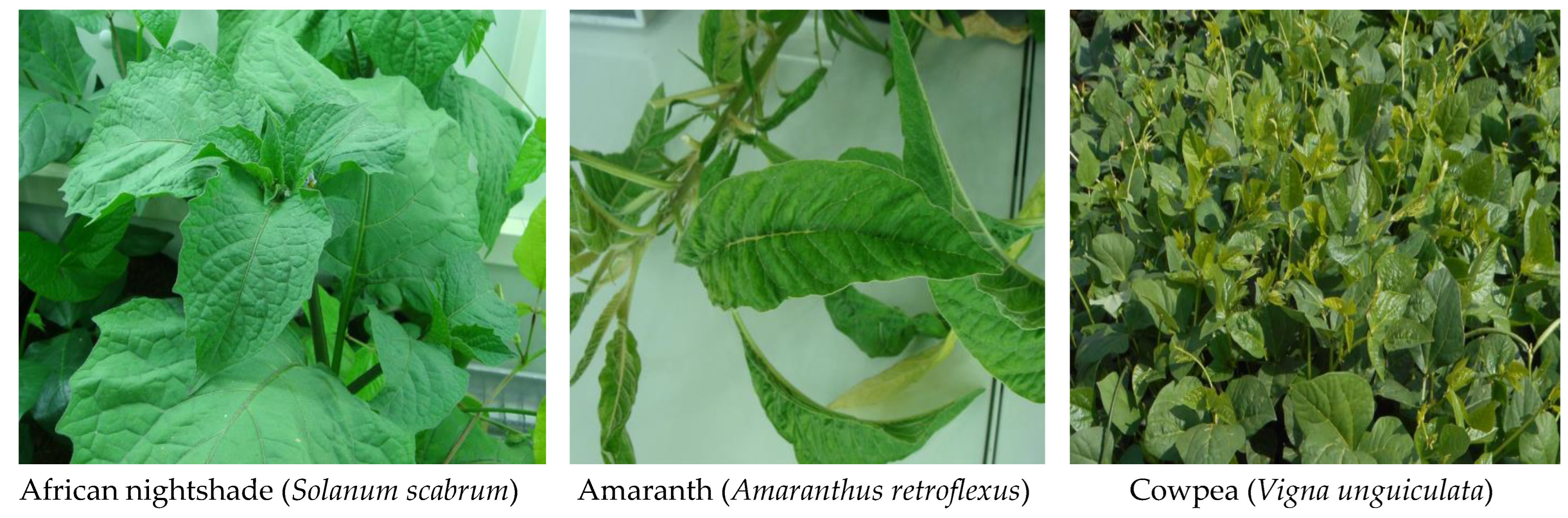 Bacteria 02 00001 g009