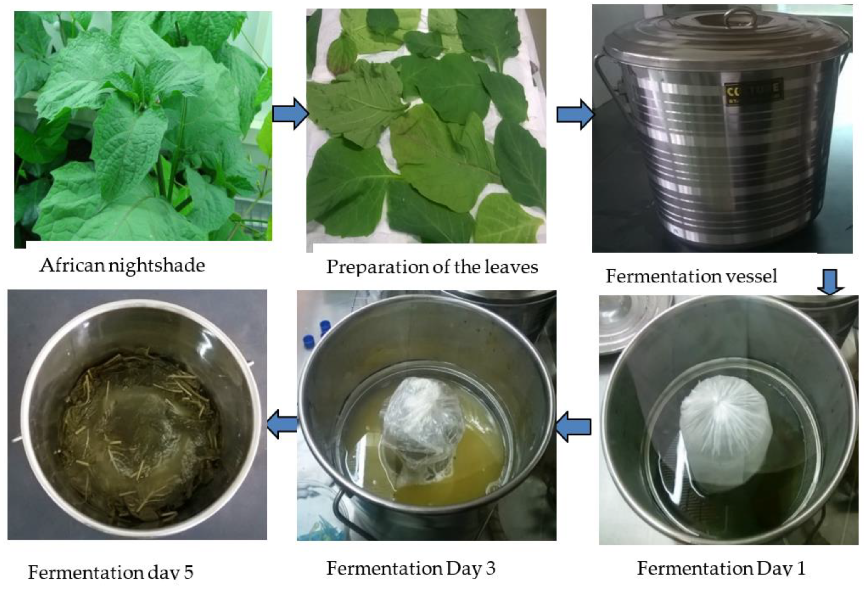 Bacteria 02 00001 g010