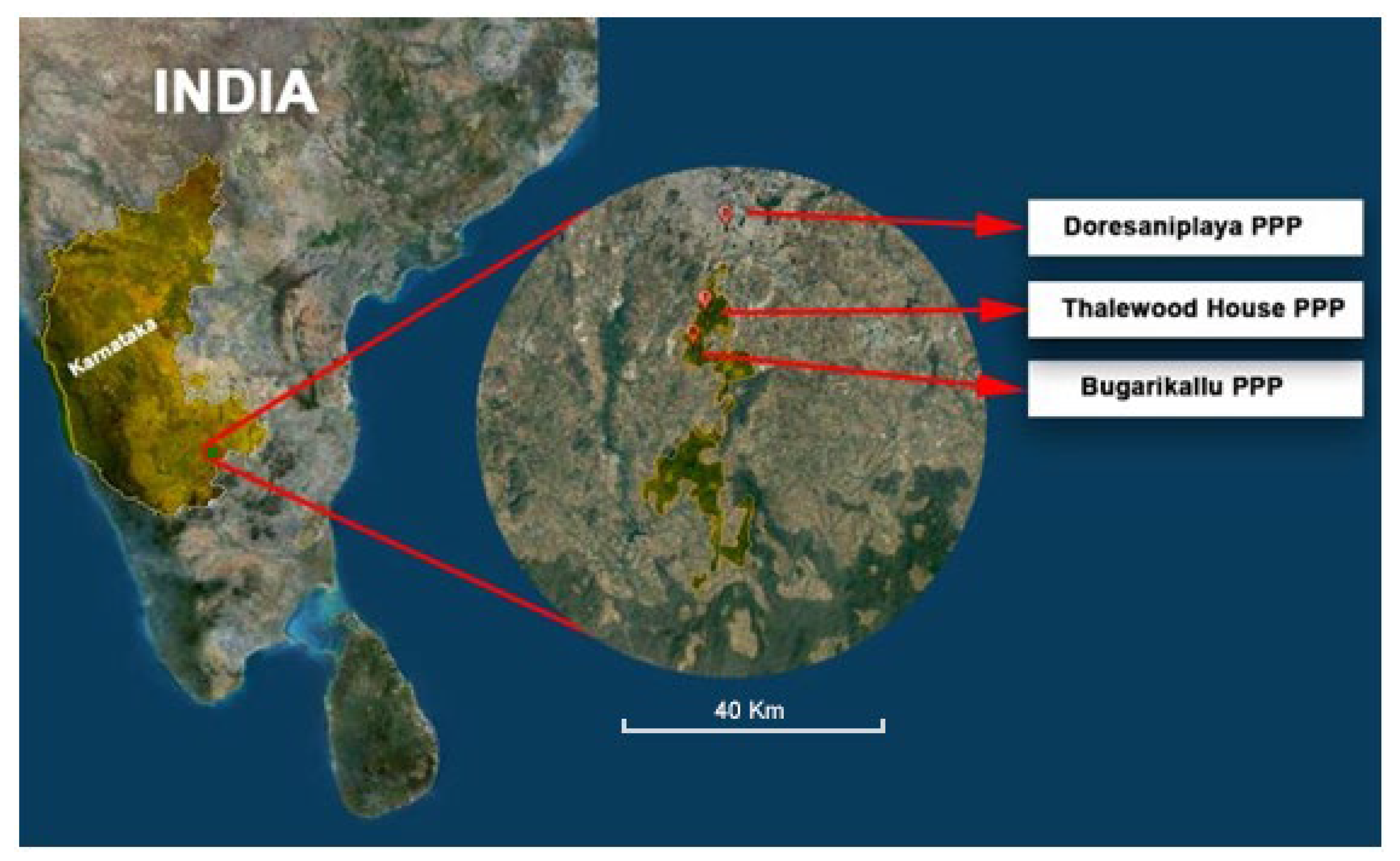 Bacteria 02 00006 g004 Bacteria 02 00006 g004