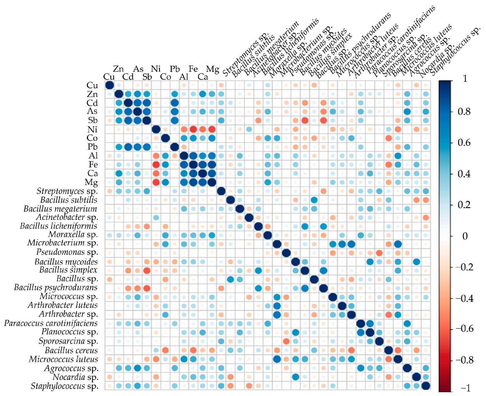 Bacteria 02 00009 g006