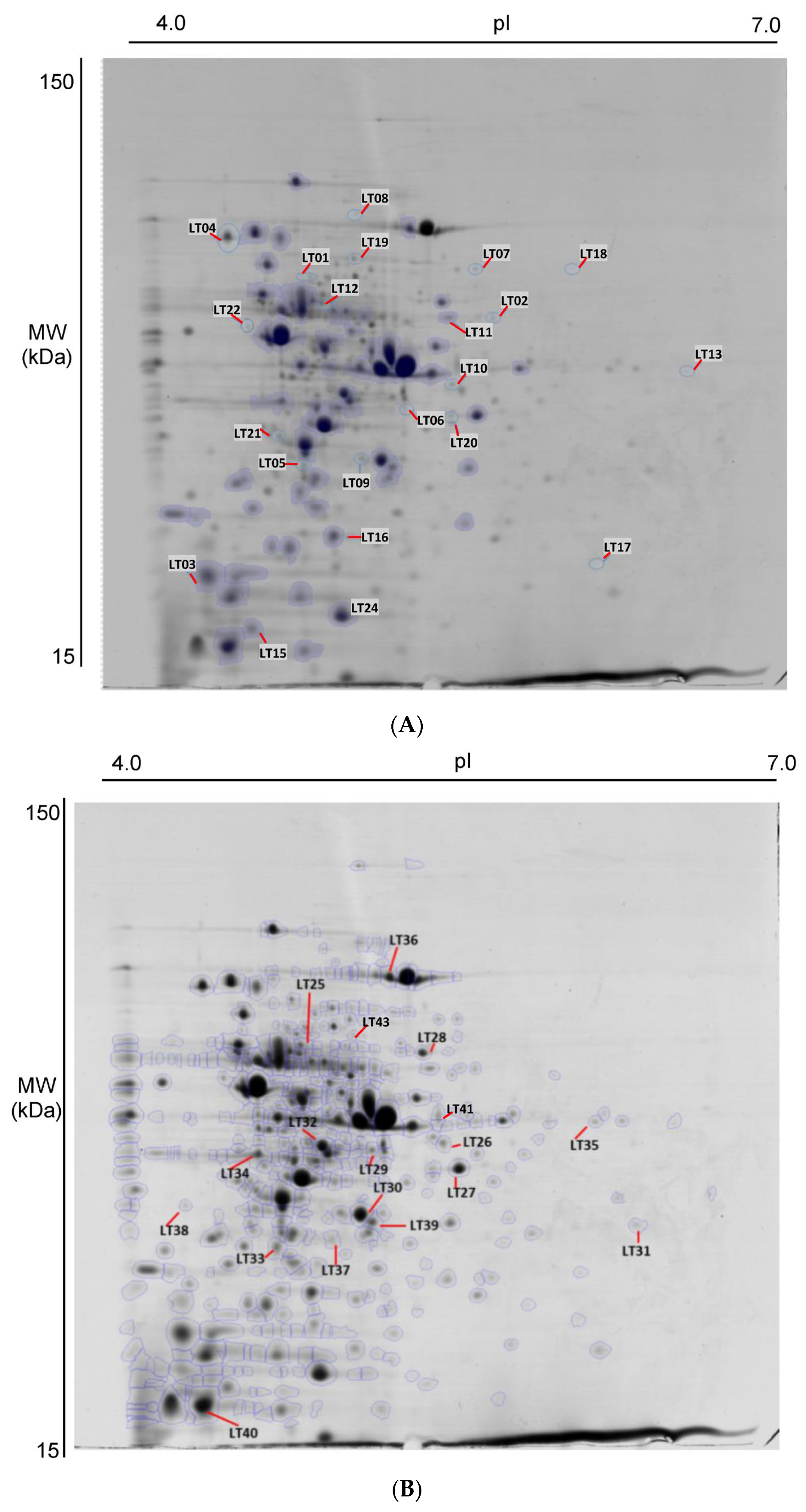 Bacteria 02 00011 g003
