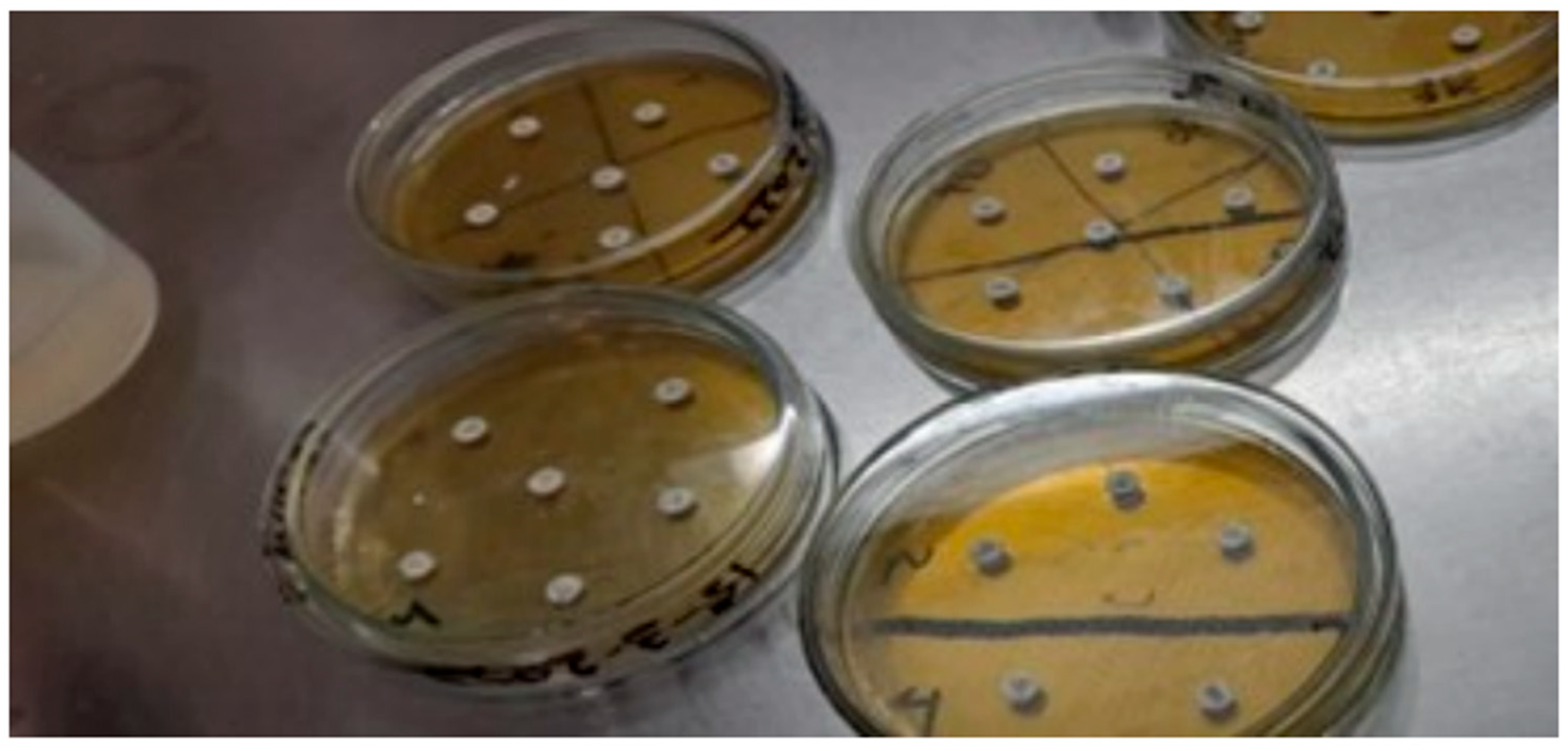 Bacteria 02 00012 g012