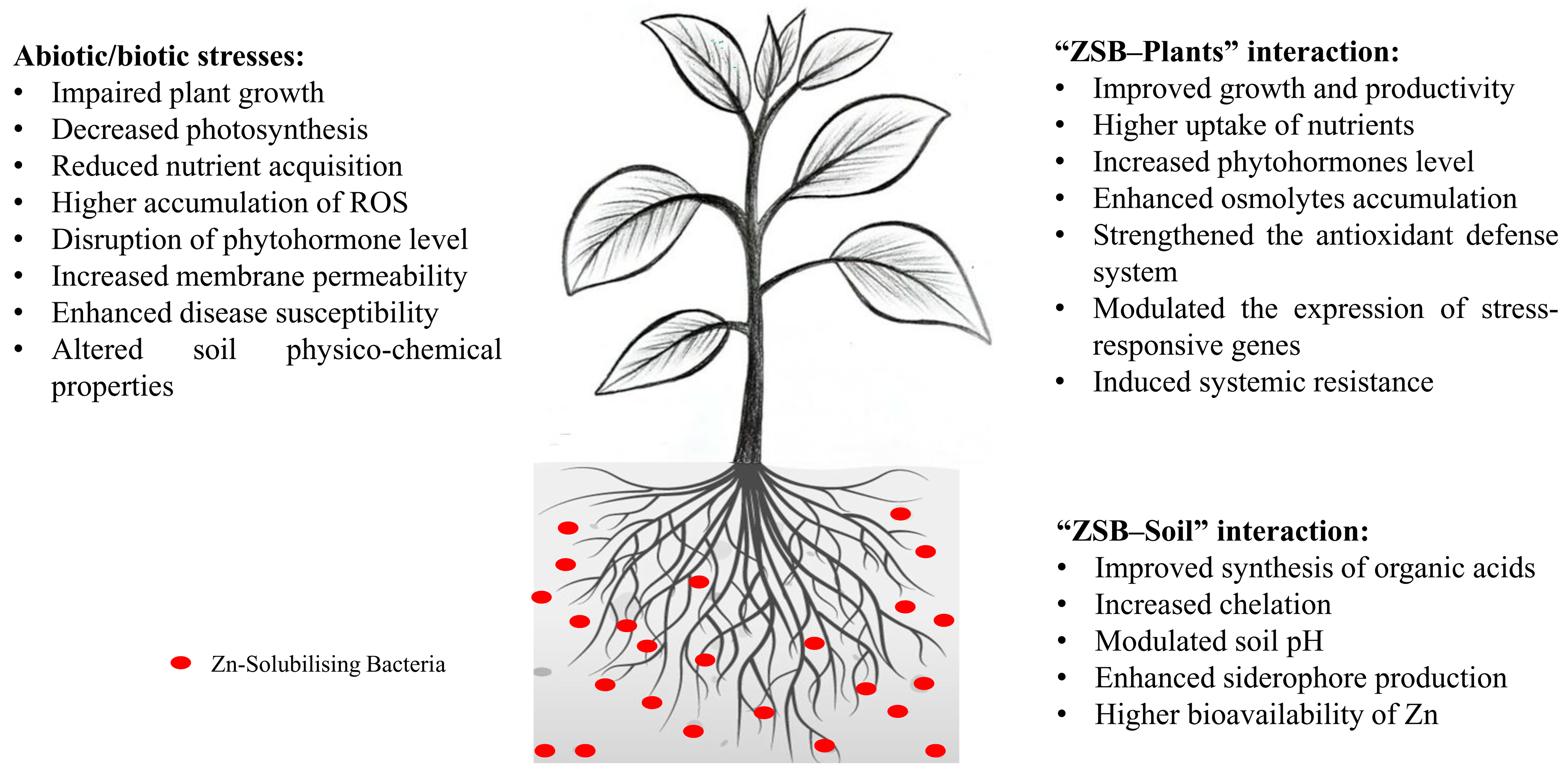 Bacteria 03 00002 g001