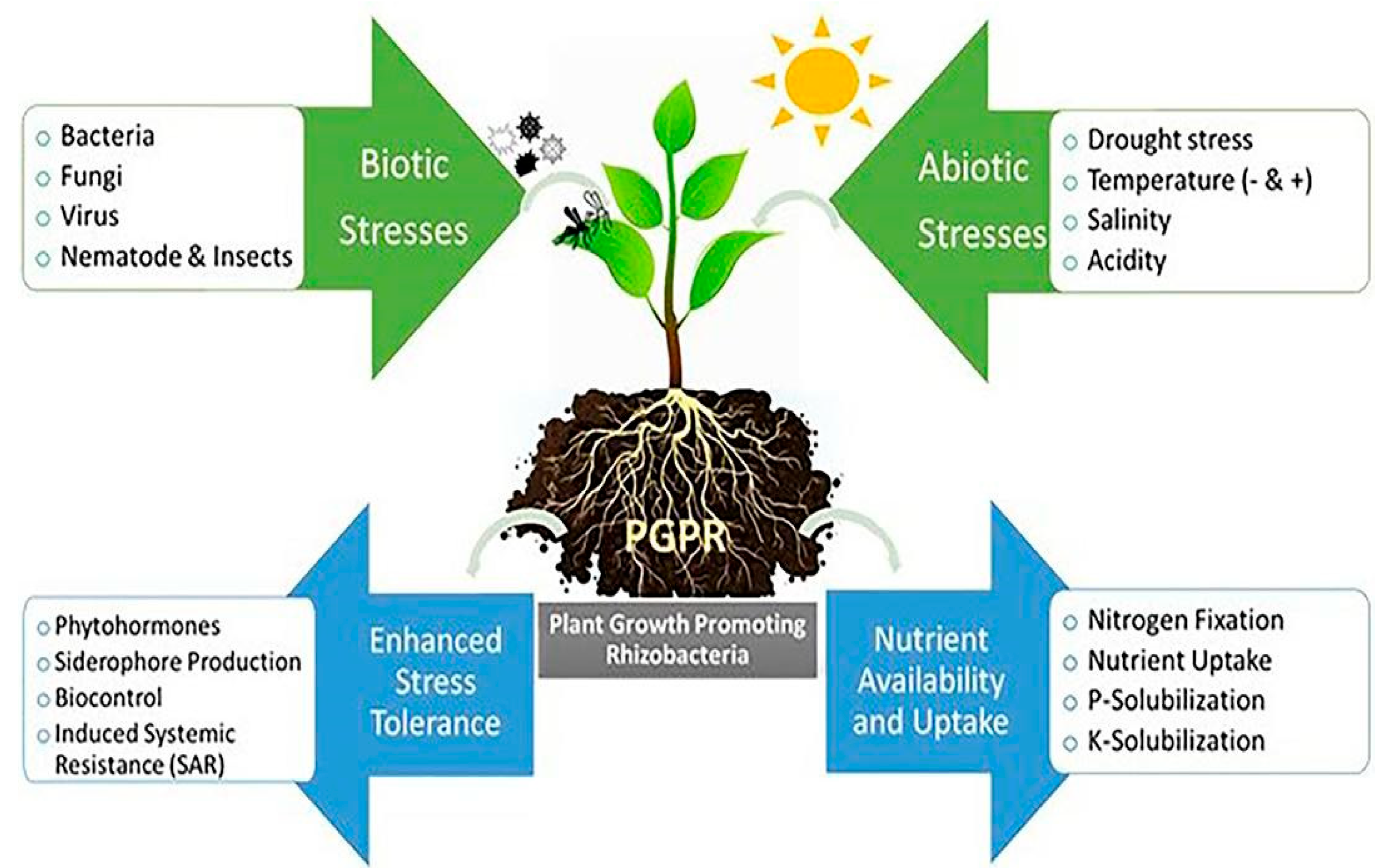 Bacteria 03 00005 g002 Bacteria 03 00005 g002