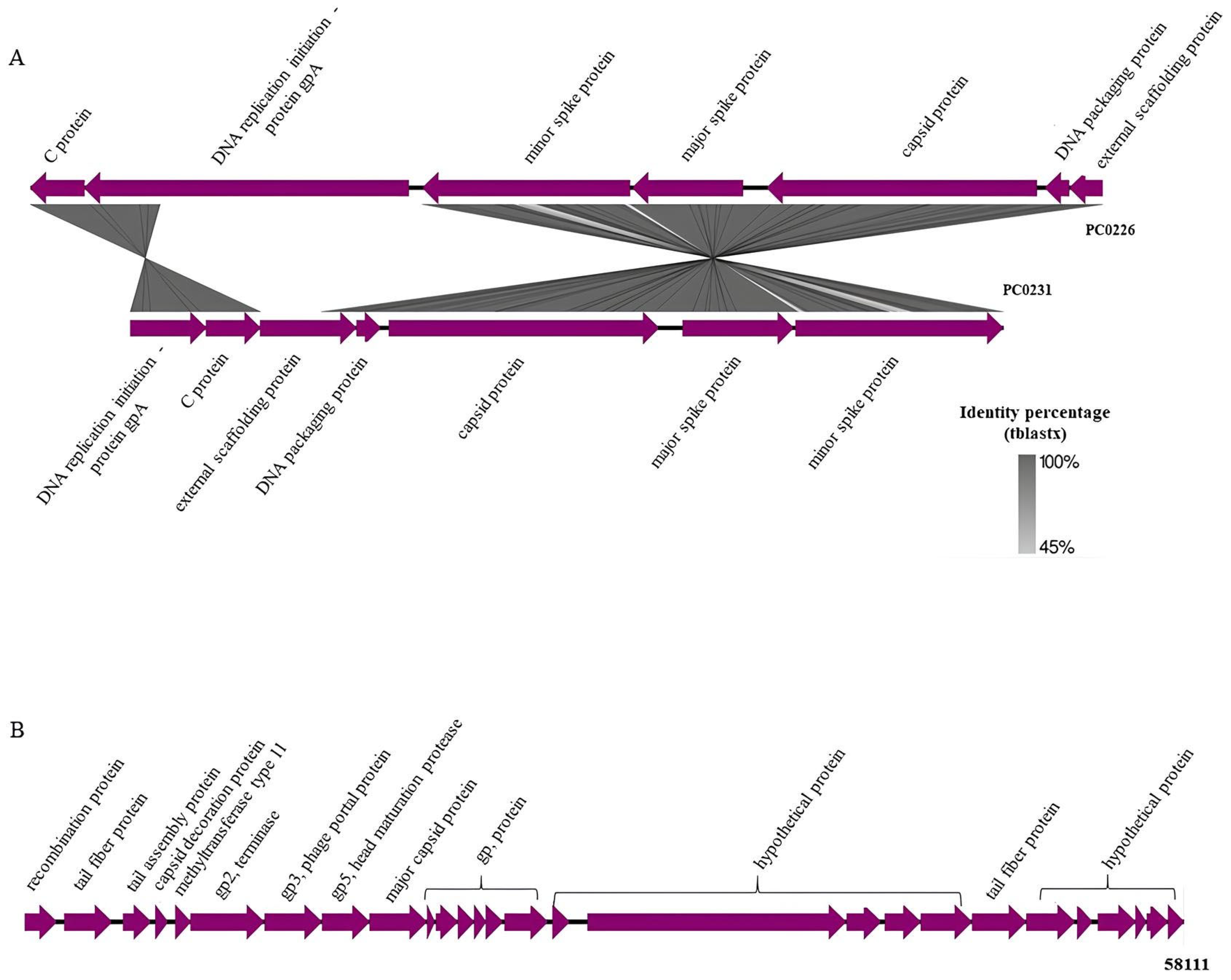 Bacteria 03 00007 g002