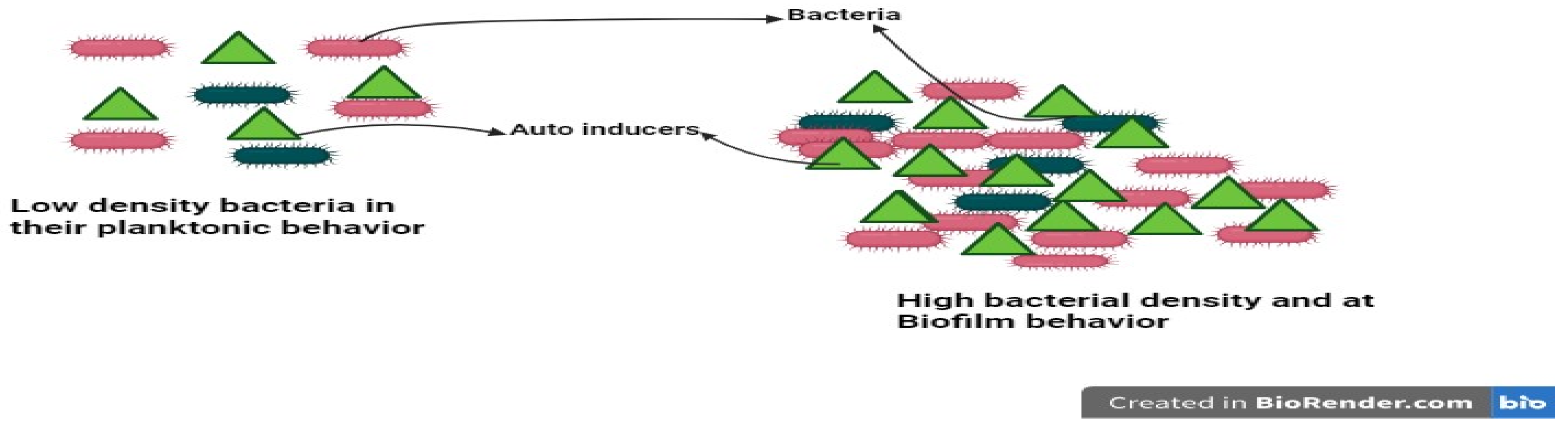 Bacteria 03 00008 g003