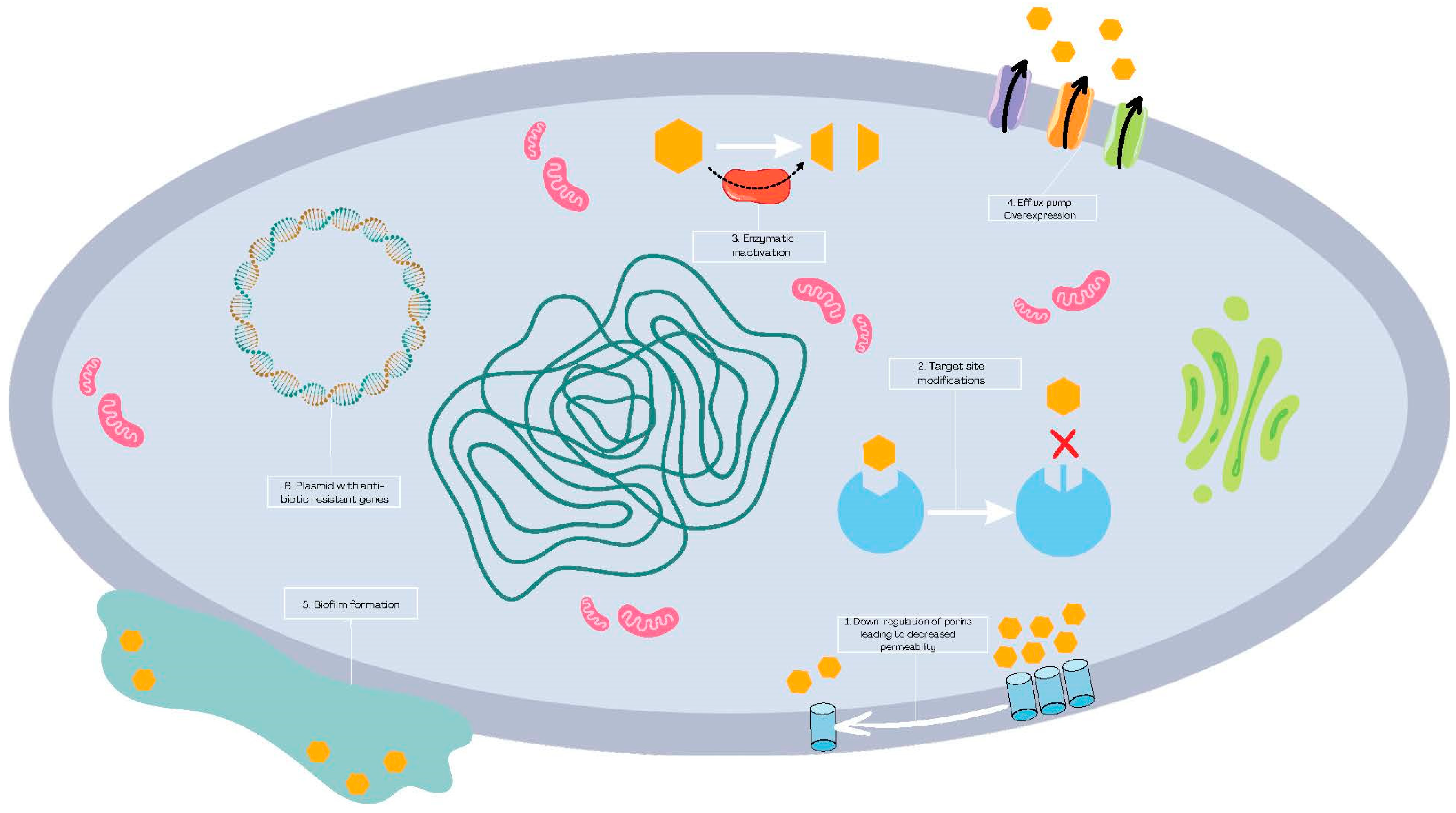 Bacteria 03 00012 g001
