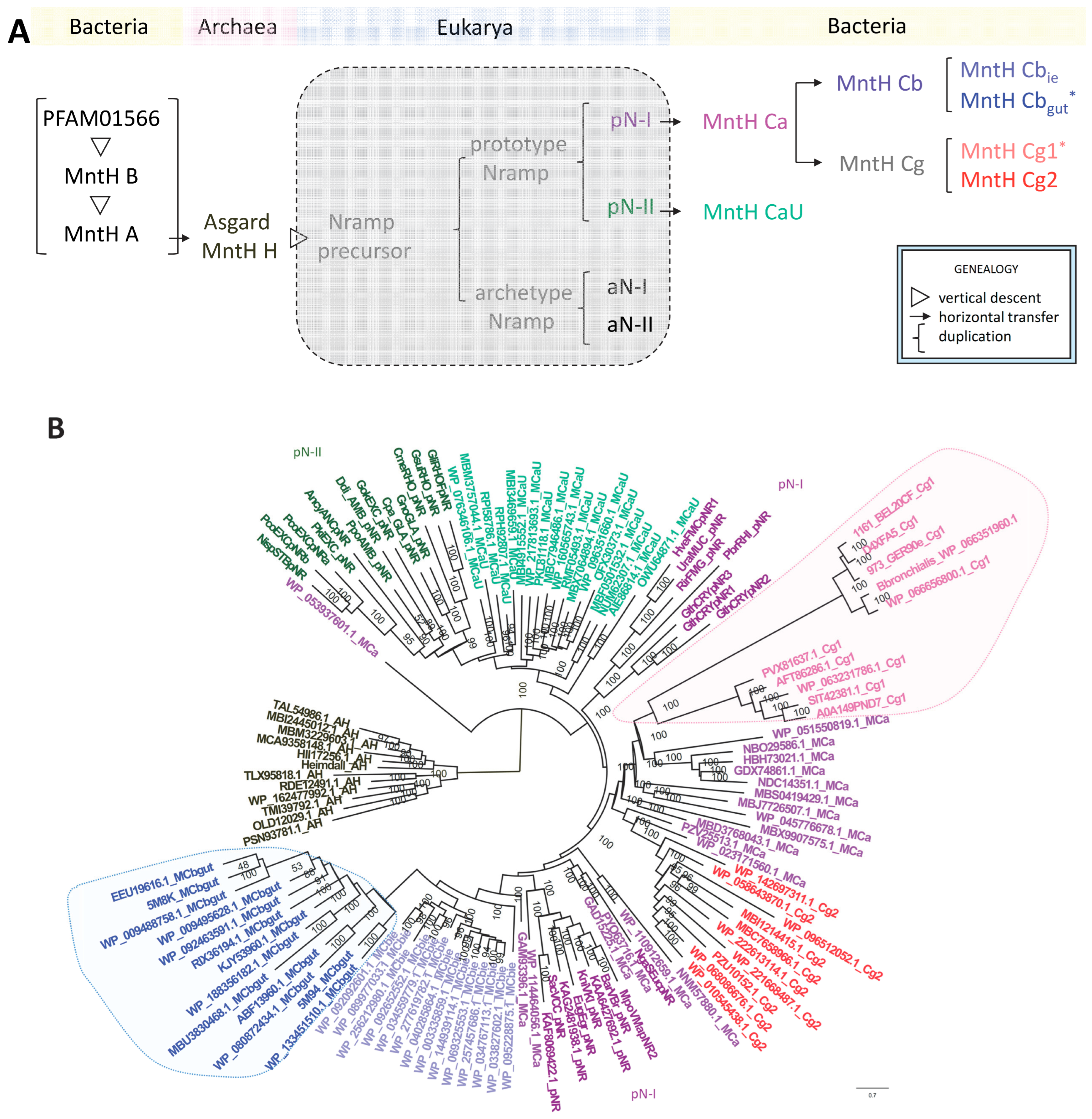 Bacteria 03 00016 g001