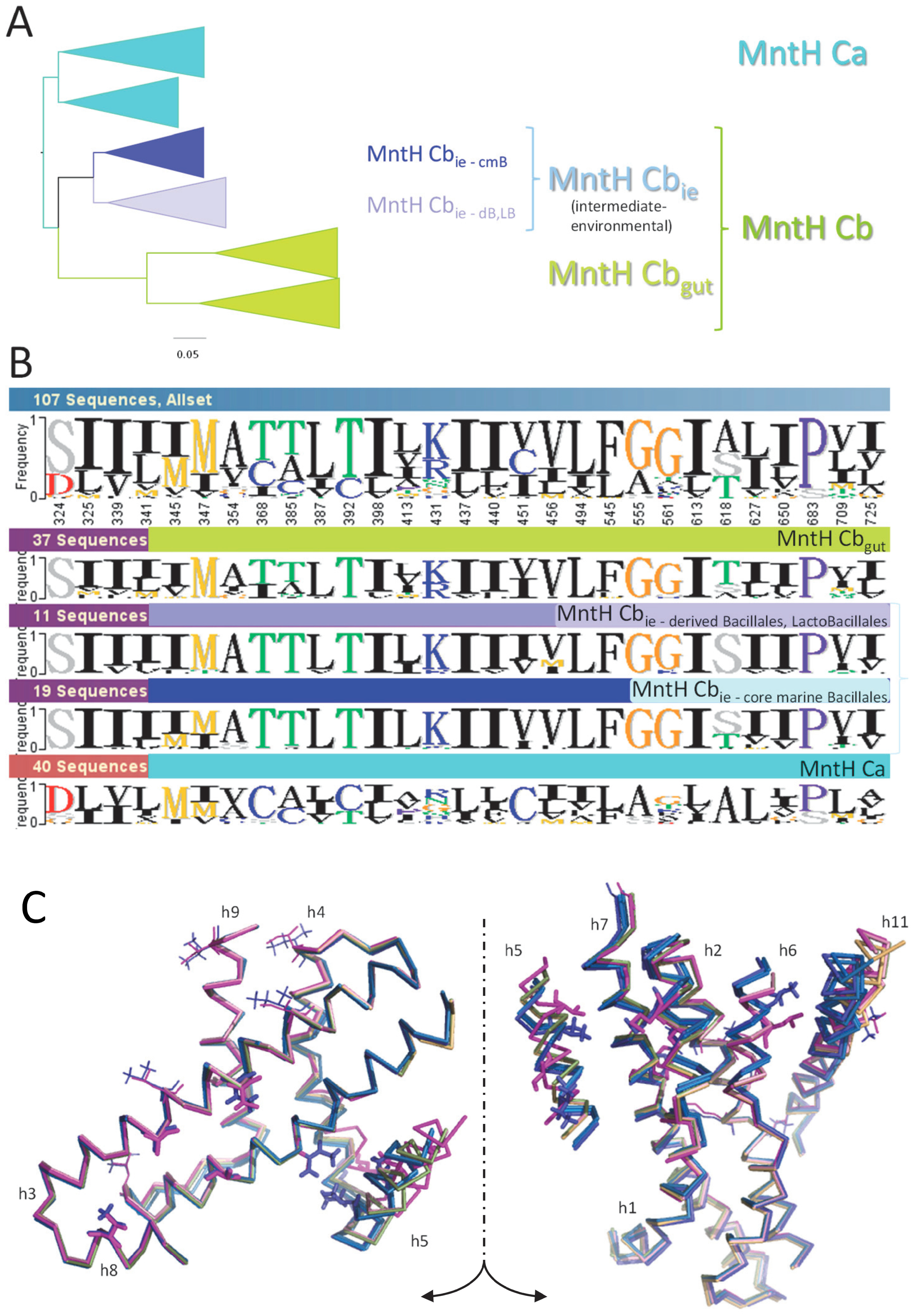 Bacteria 03 00016 g003