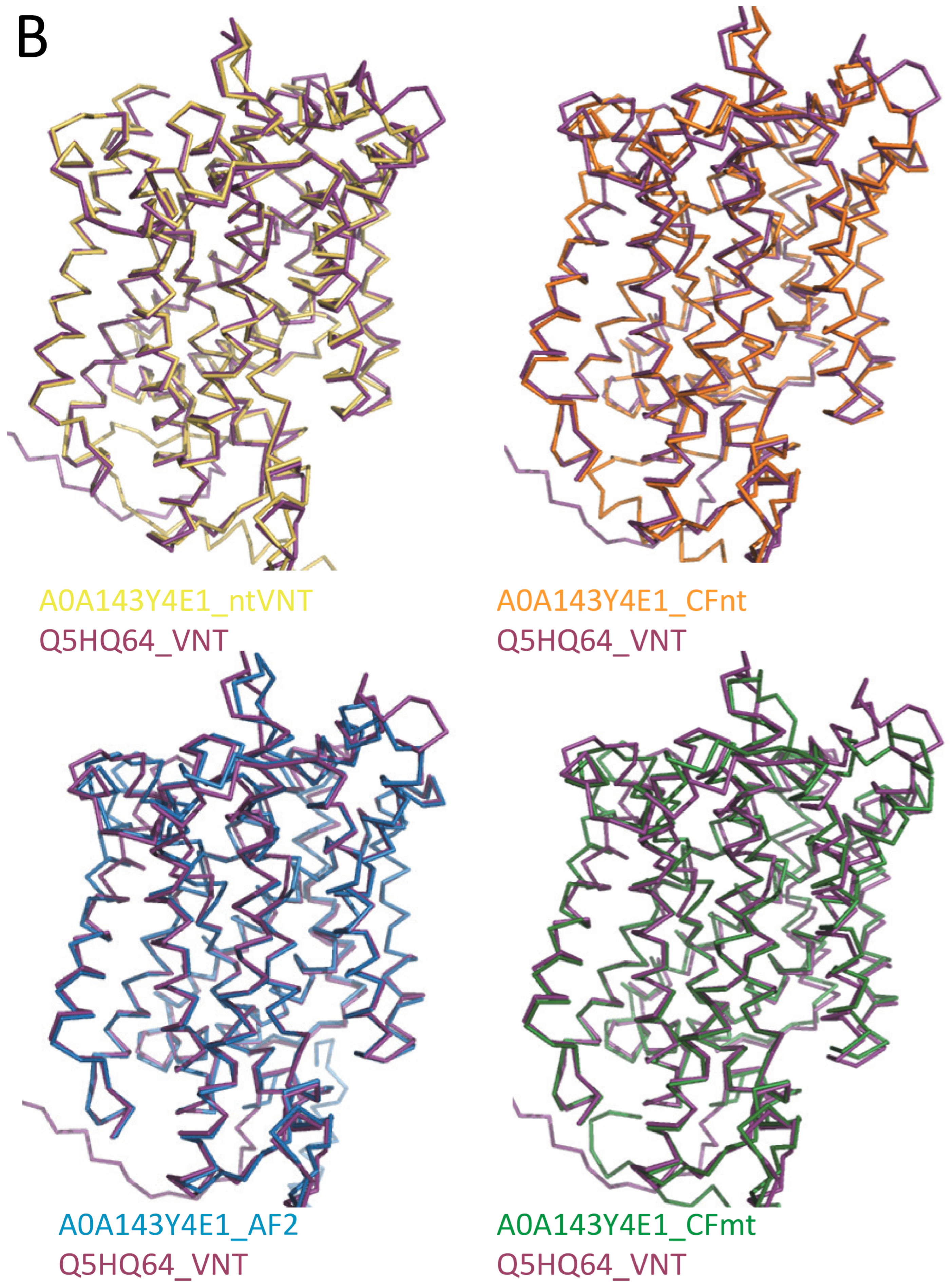Bacteria 03 00016 g007b