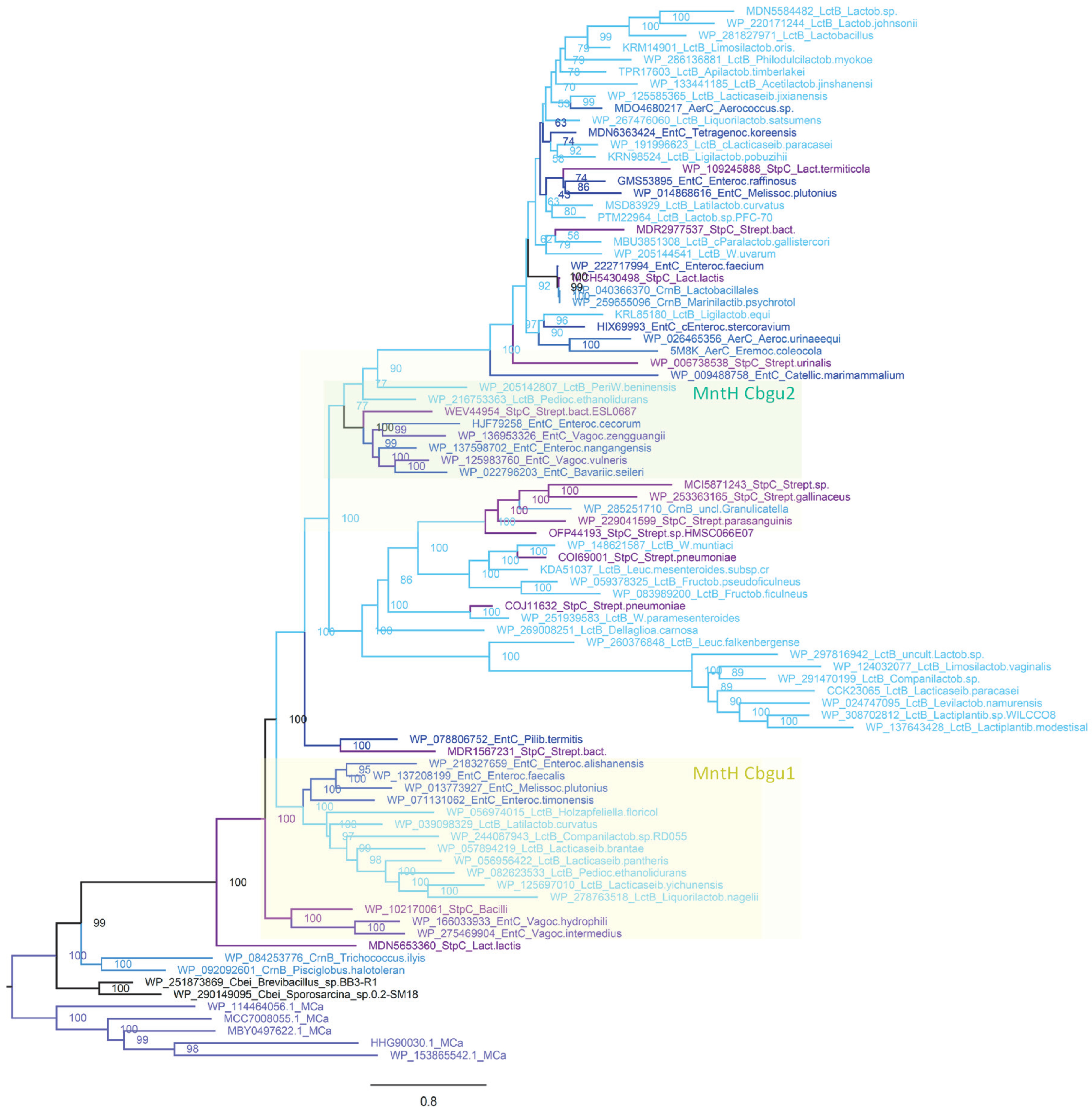 Bacteria 03 00016 g010