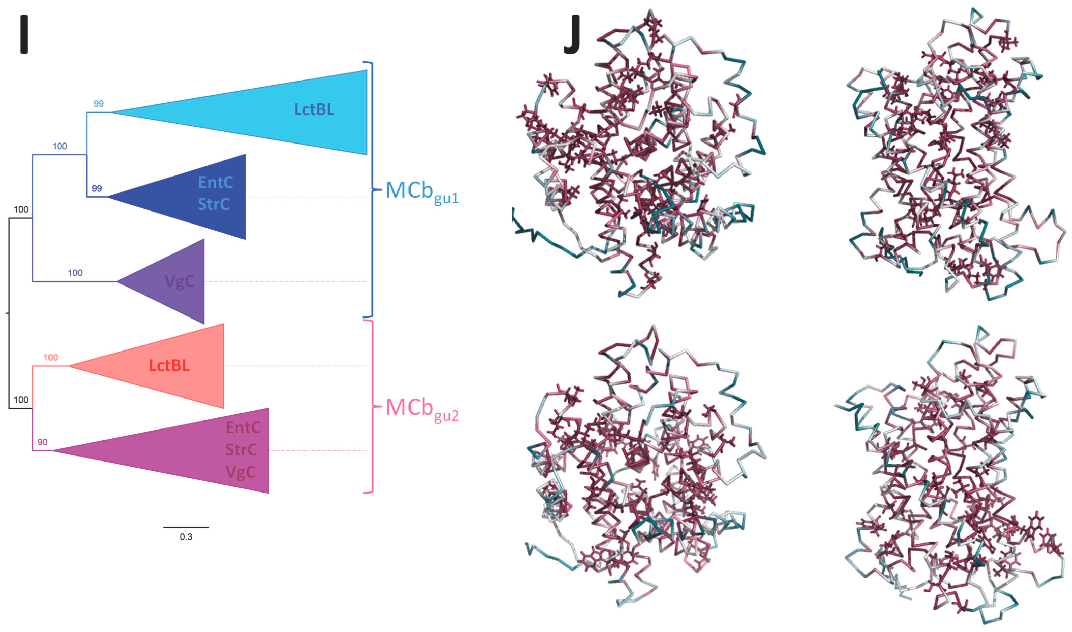 Bacteria 03 00016 g012c