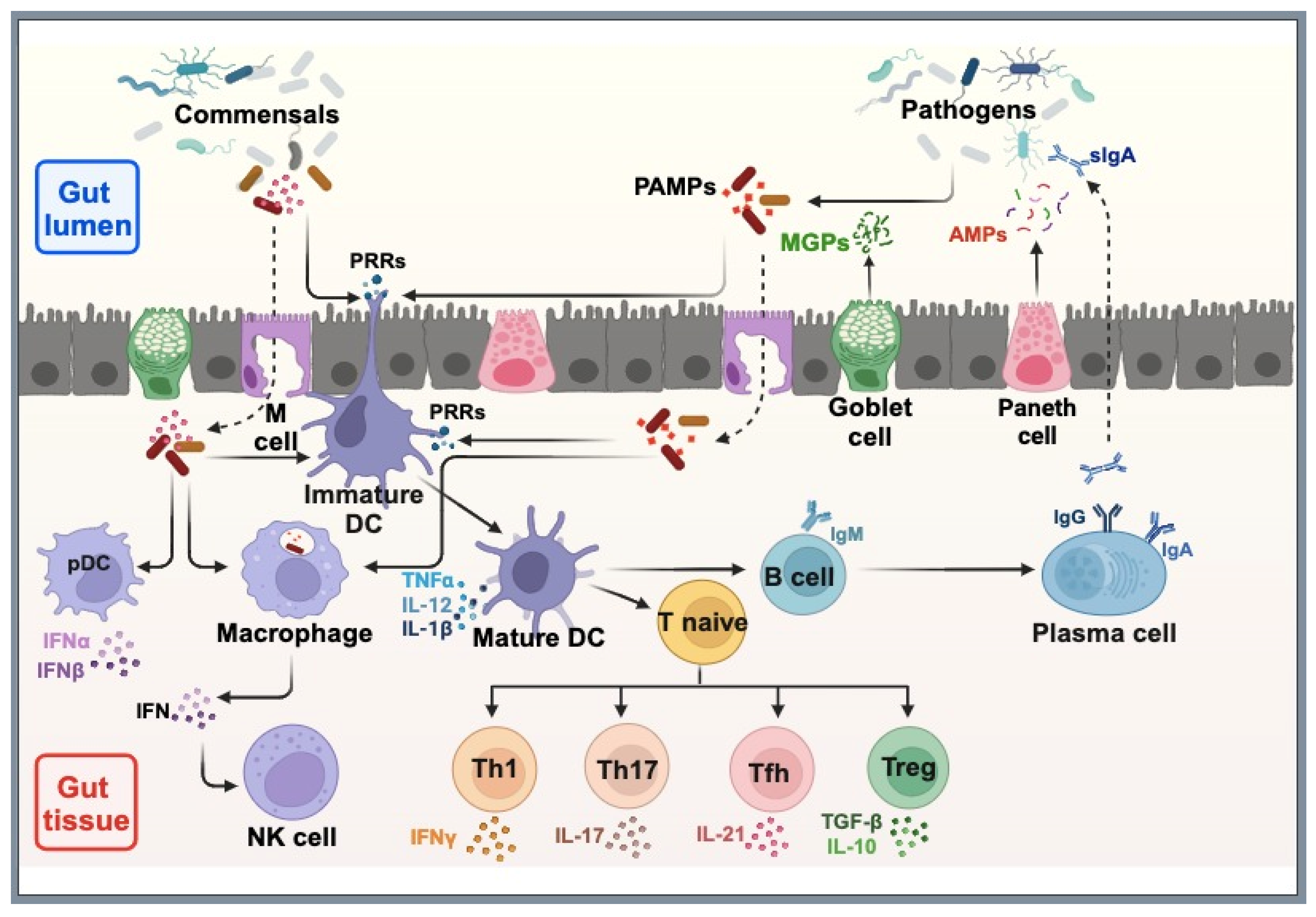 Bacteria 03 00022 g001 Bacteria 03 00022 g001